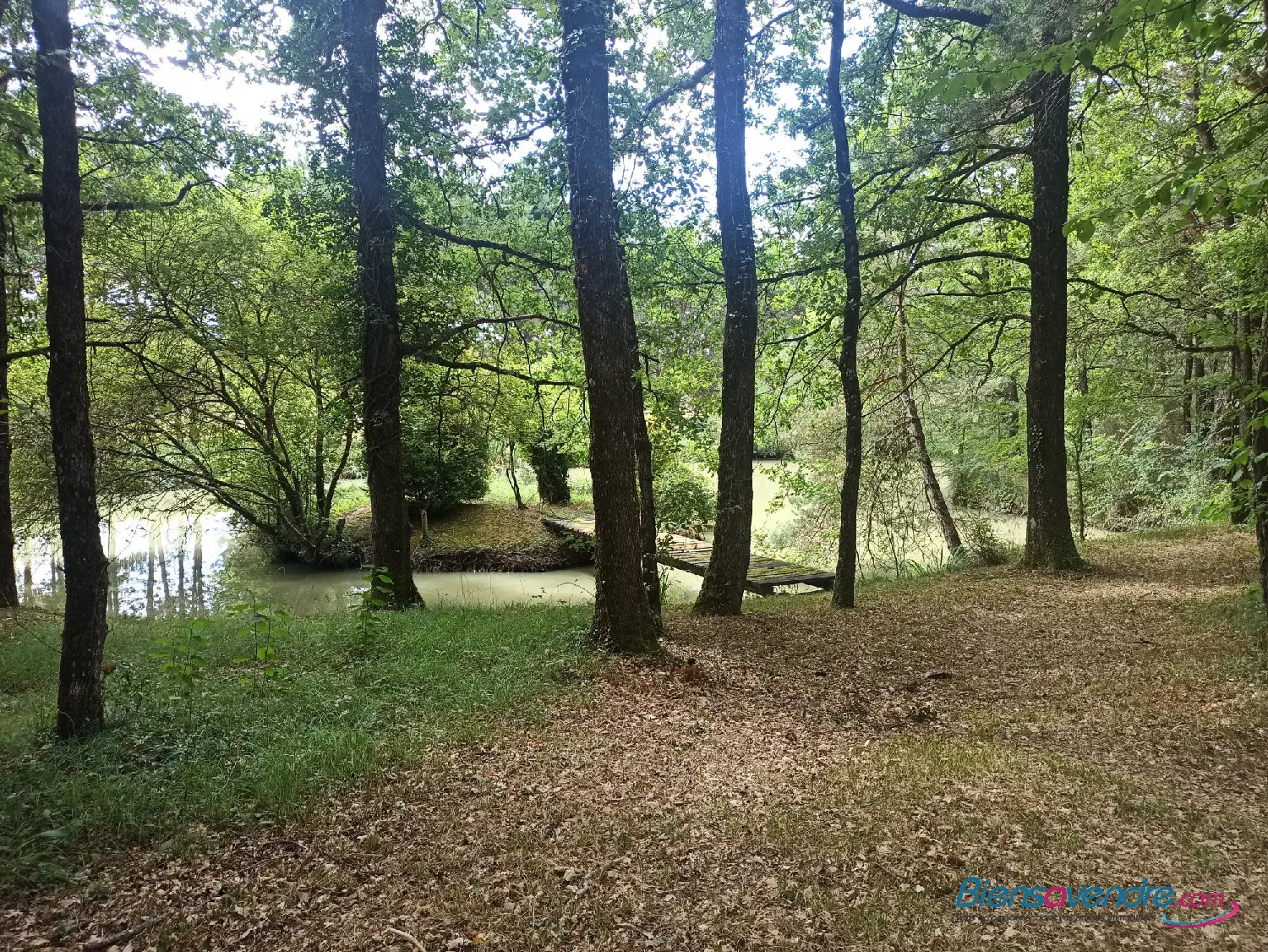  te koop terrein Mignaloux-Beauvoir Vienne 4