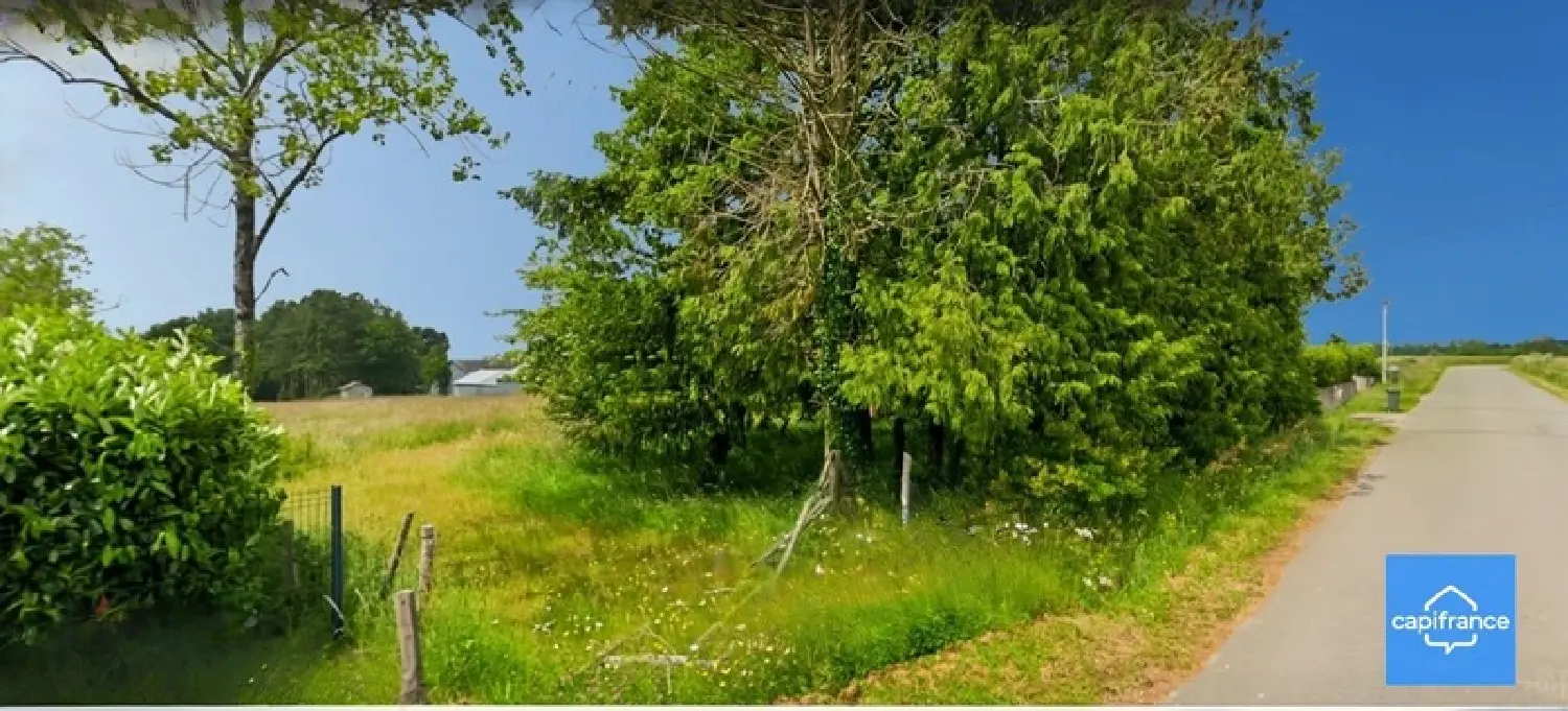  à vendre terrain Monteneuf Morbihan 1