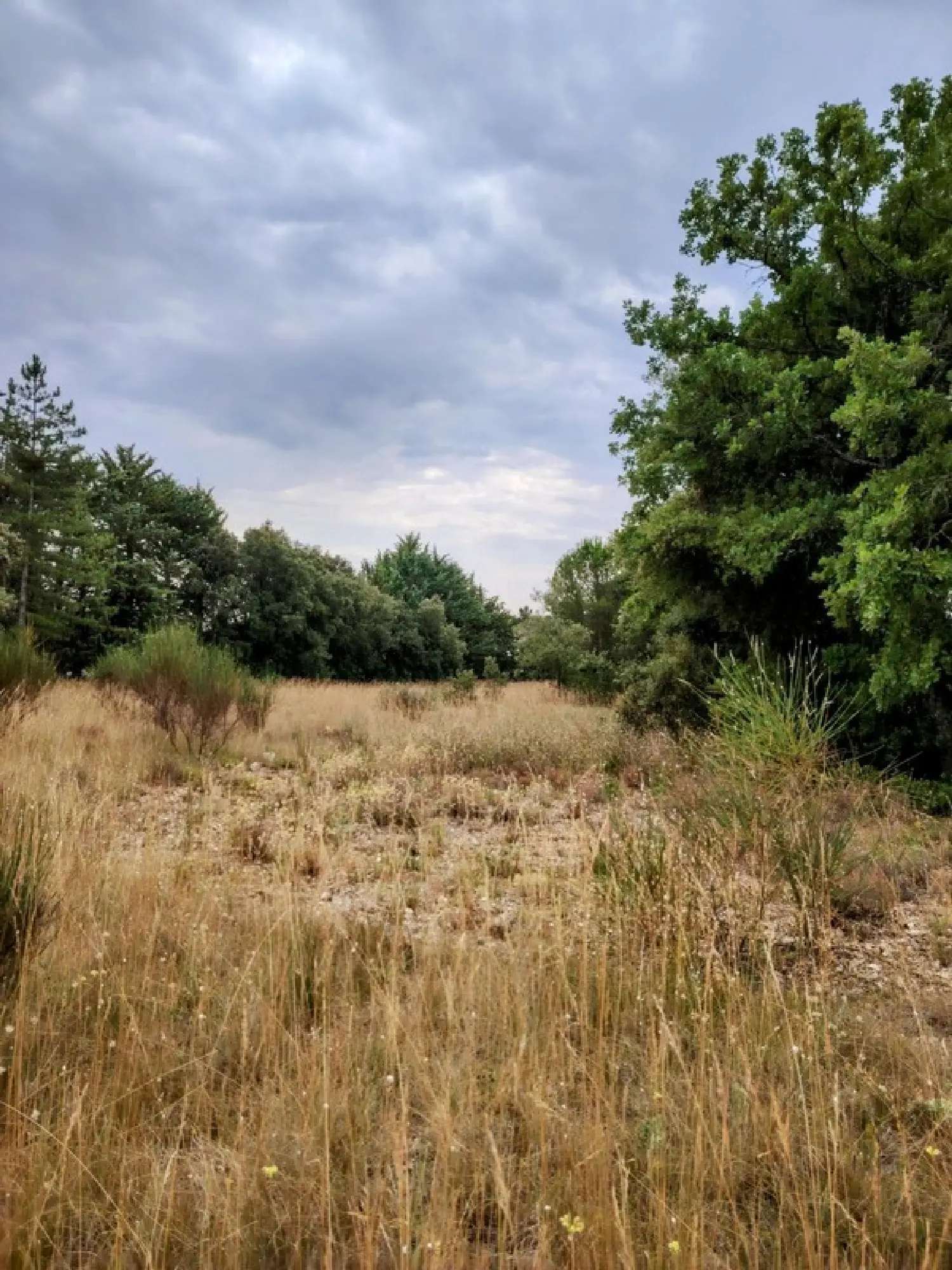  à vendre terrain Murs Vaucluse 1