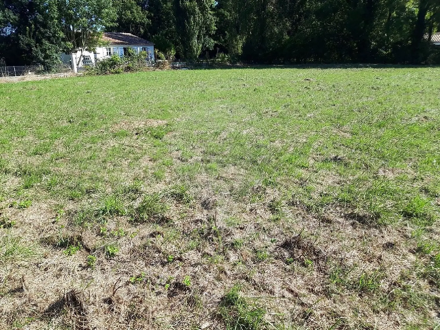  for sale terrain Nantillé Charente-Maritime 1