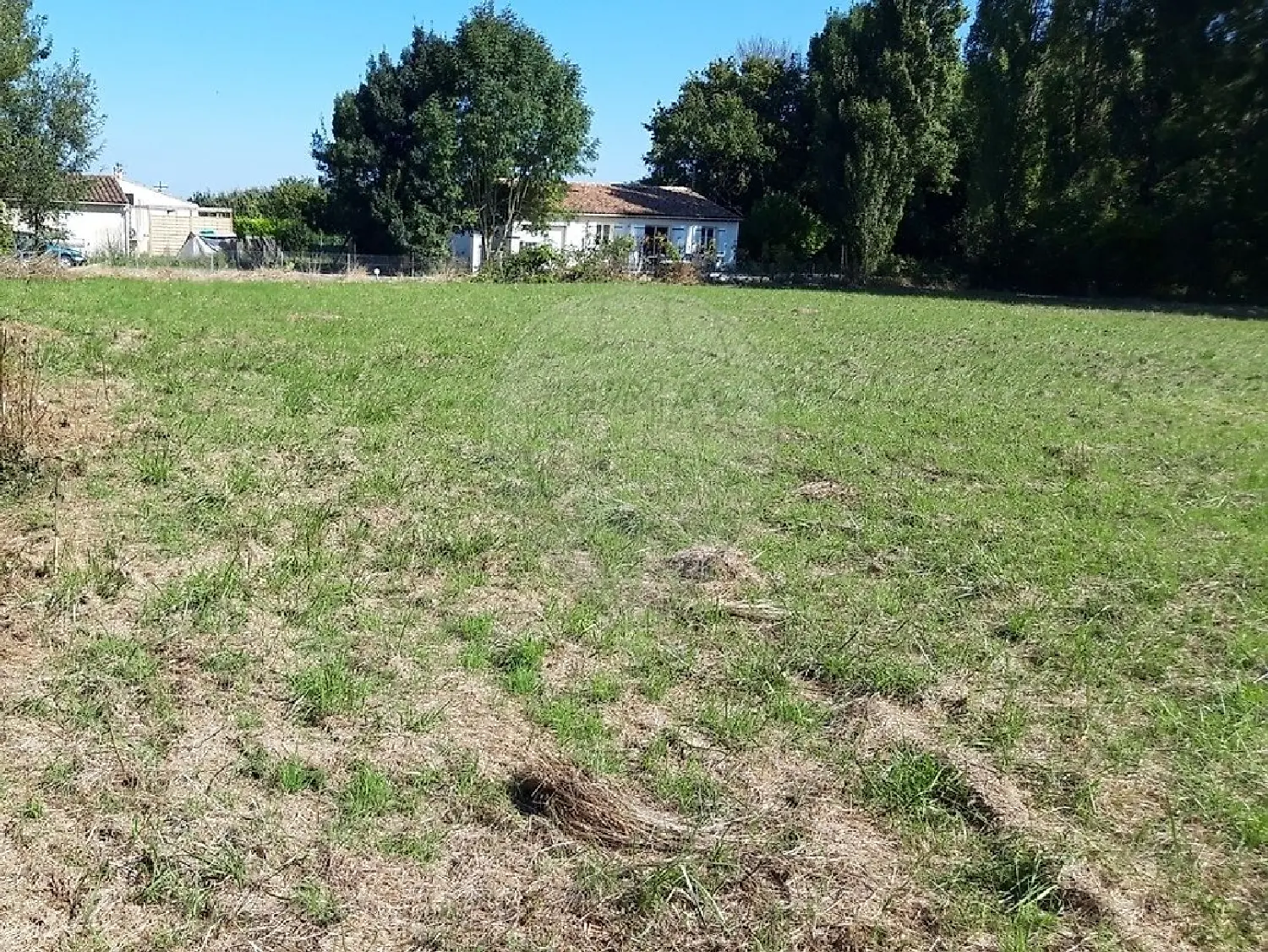  for sale terrain Nantillé Charente-Maritime 3