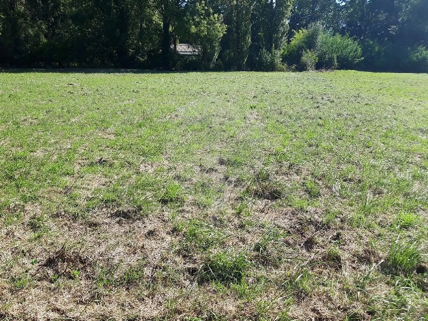  for sale terrain Nantillé Charente-Maritime 5