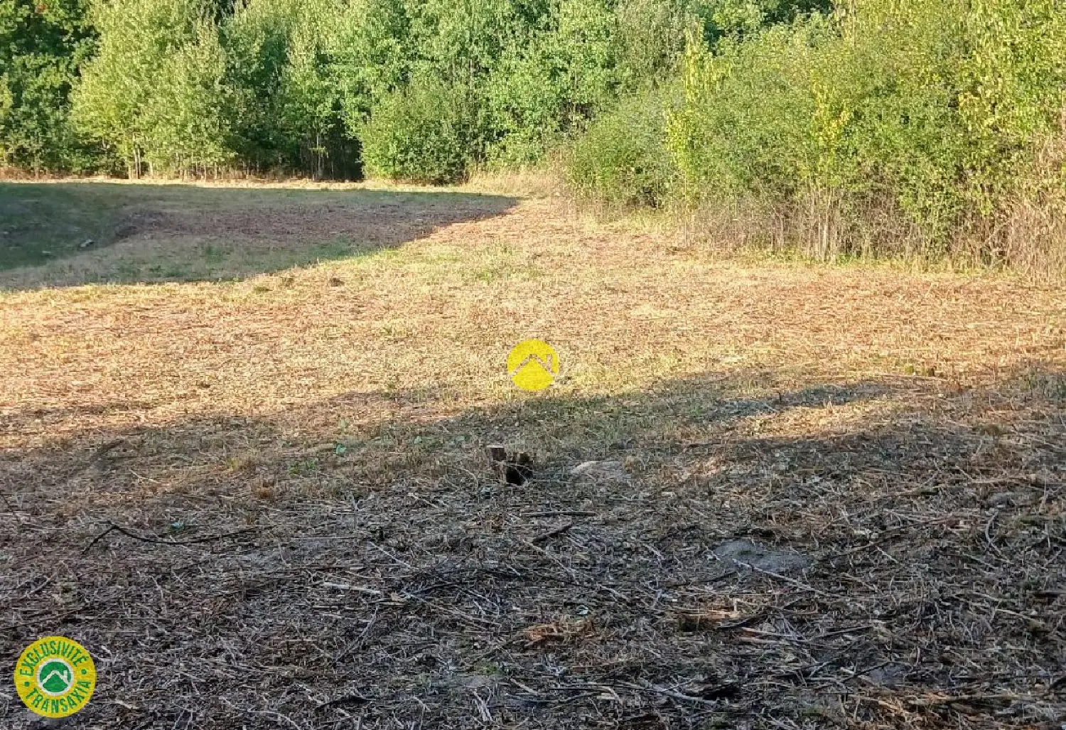  en venta terreno Néris-les-Bains Allier 1