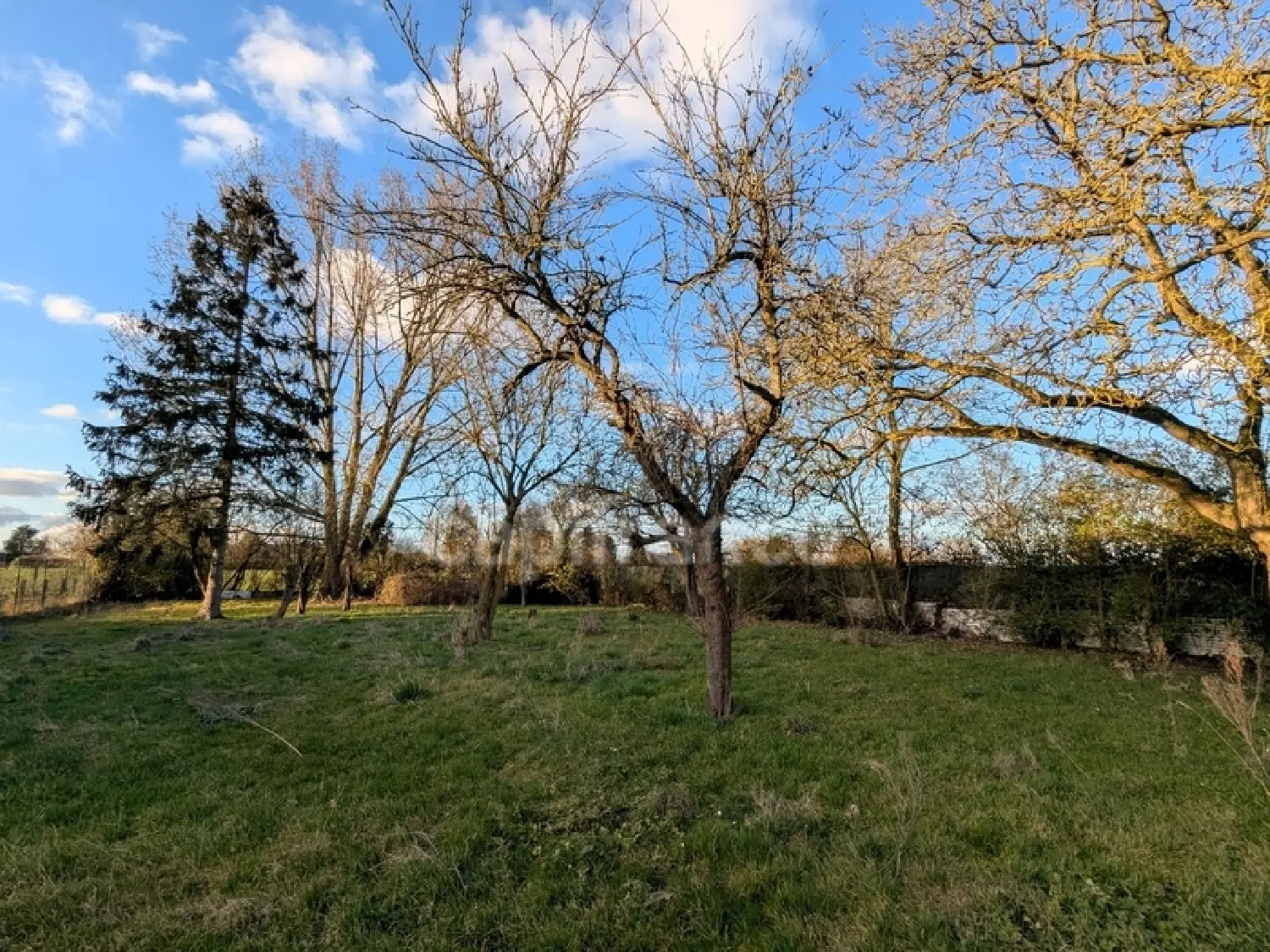  en venta terreno Neuville-en-Ferrain Nord 1