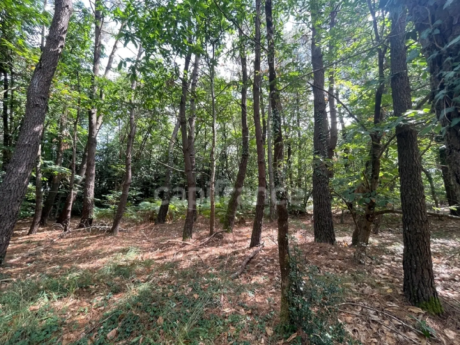  te koop terrein Nivillac Morbihan 1