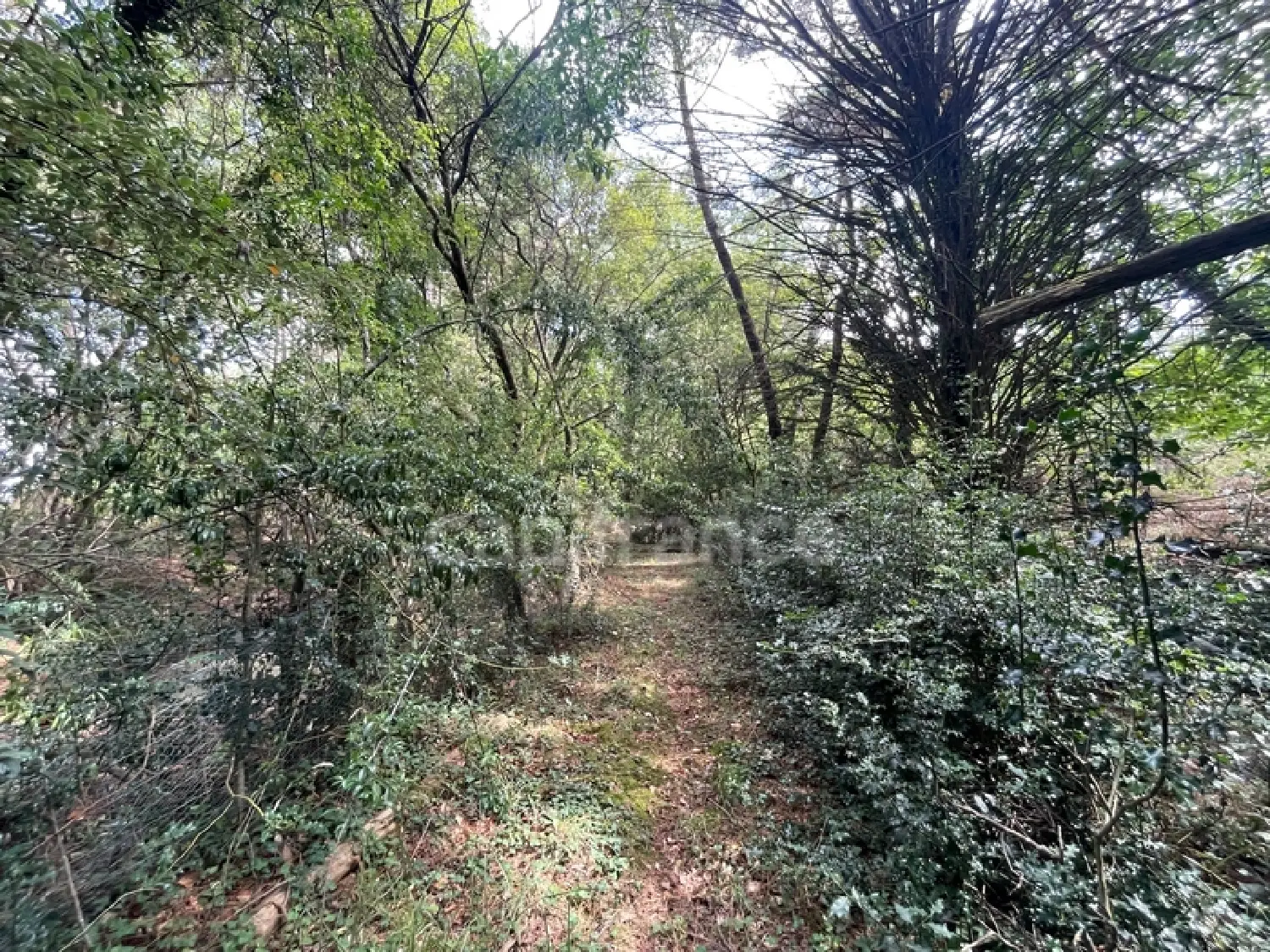  te koop terrein Nivillac Morbihan 2