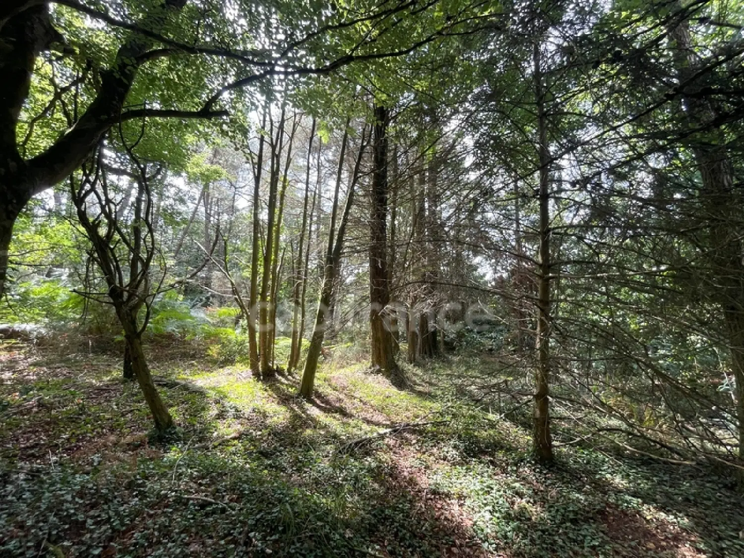 te koop terrein Nivillac Morbihan 3