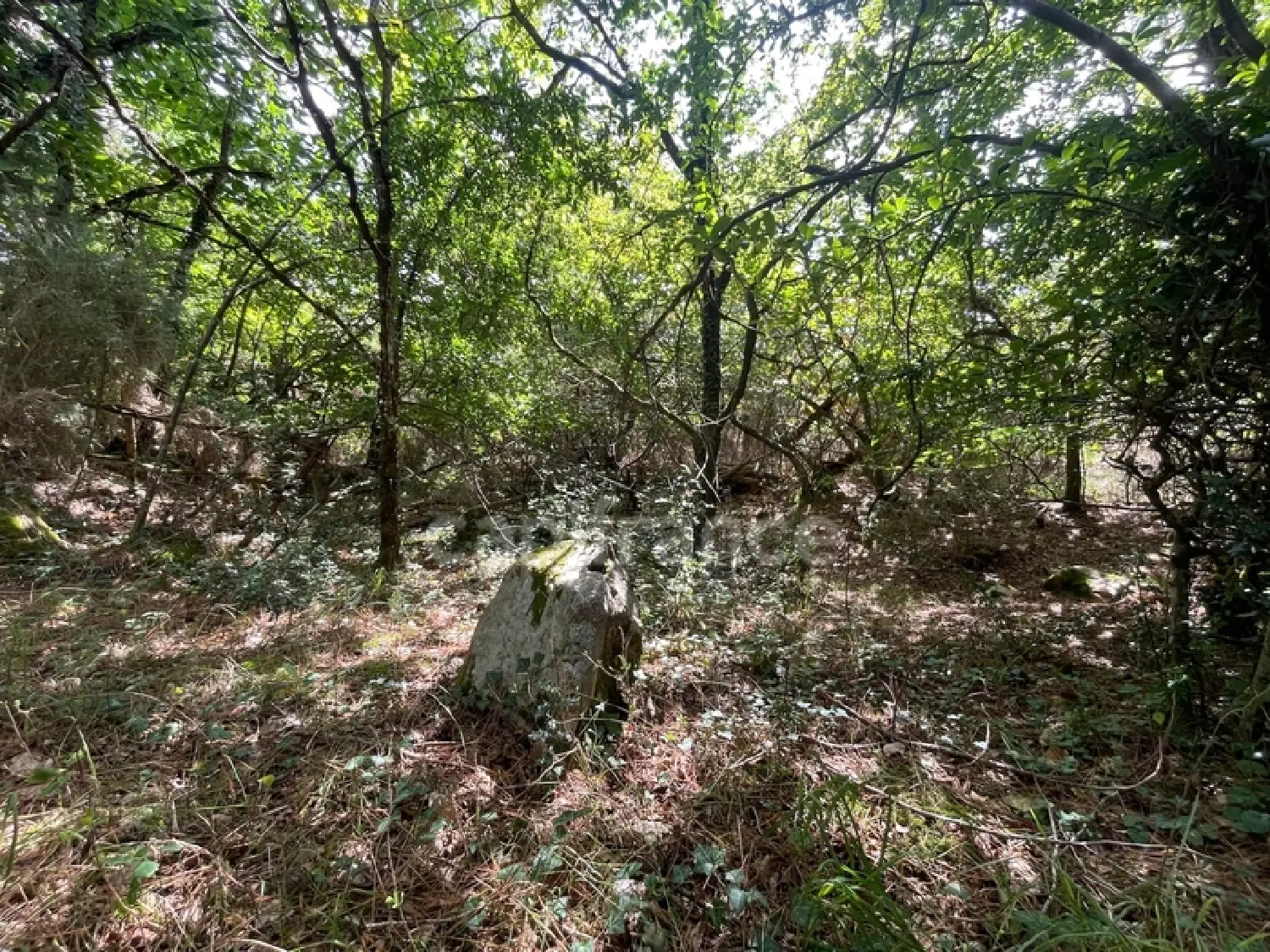  te koop terrein Nivillac Morbihan 4