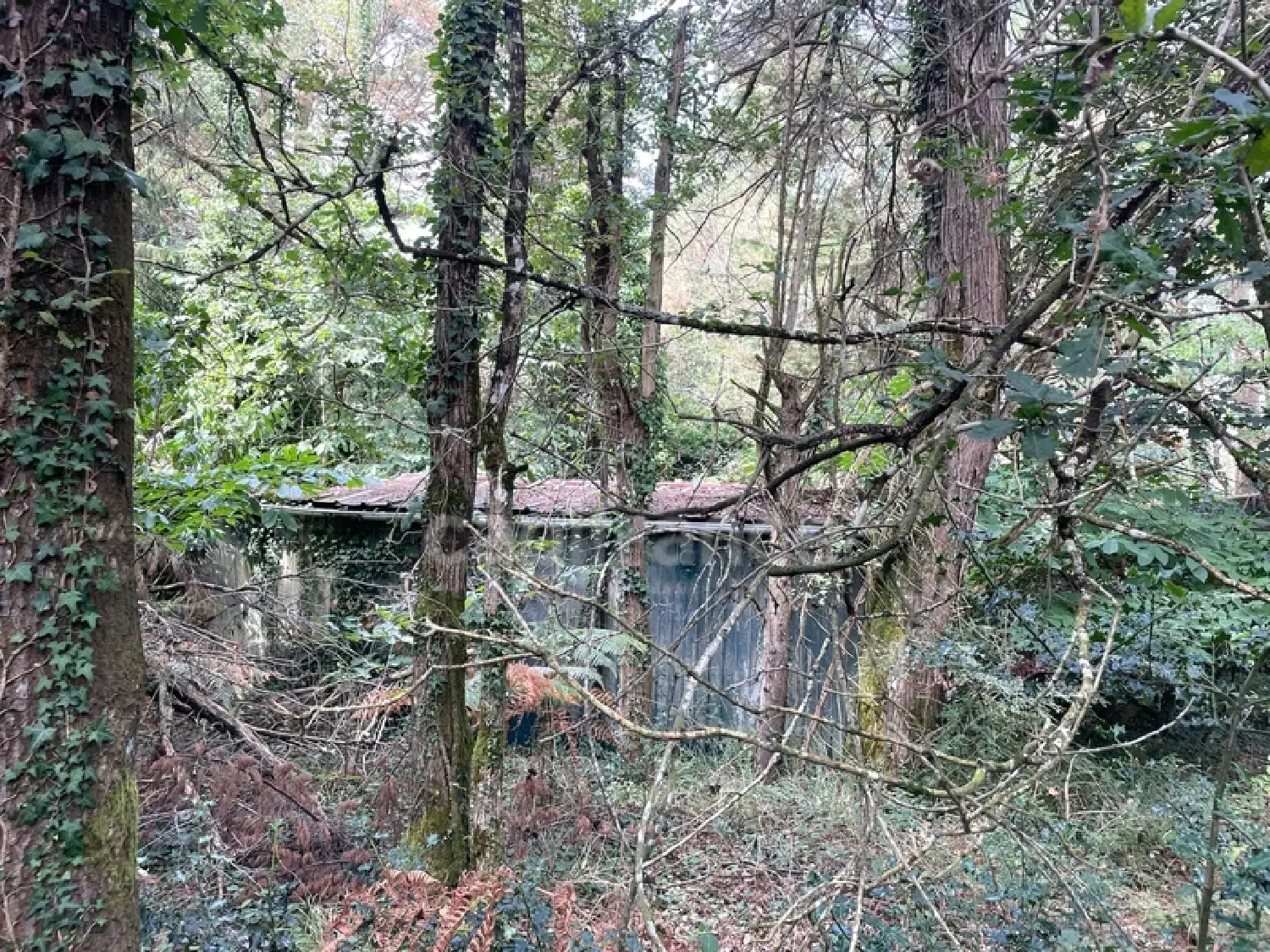  te koop terrein Nivillac Morbihan 5