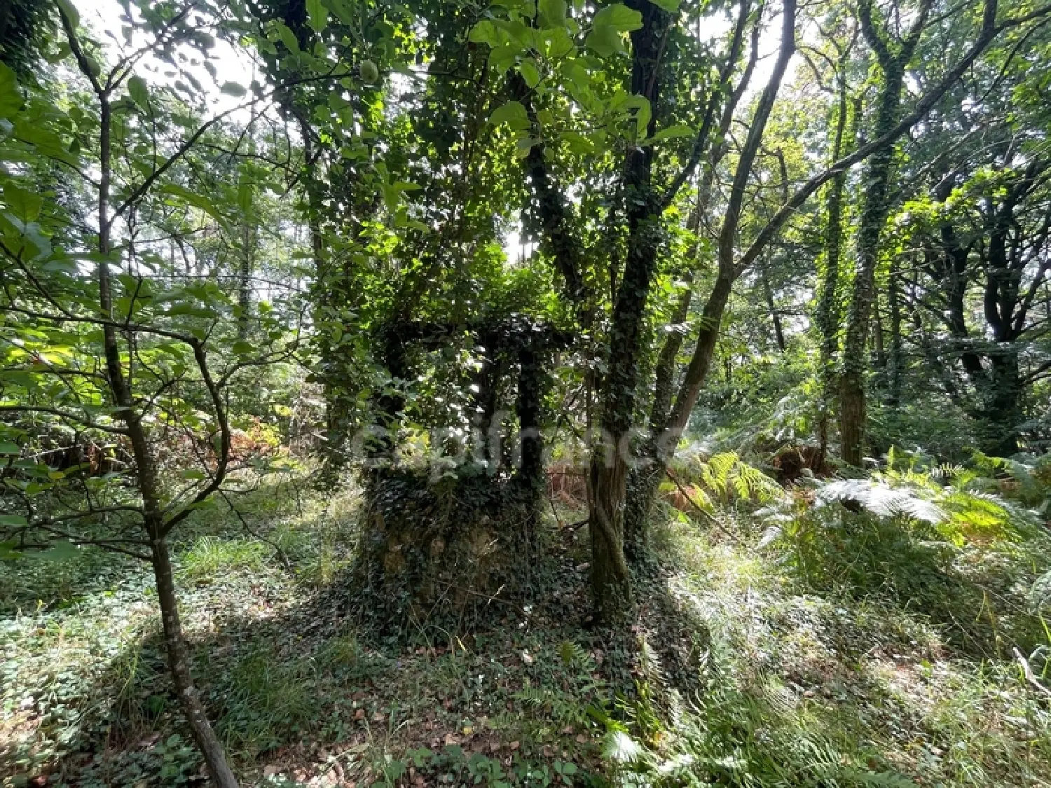  te koop terrein Nivillac Morbihan 7