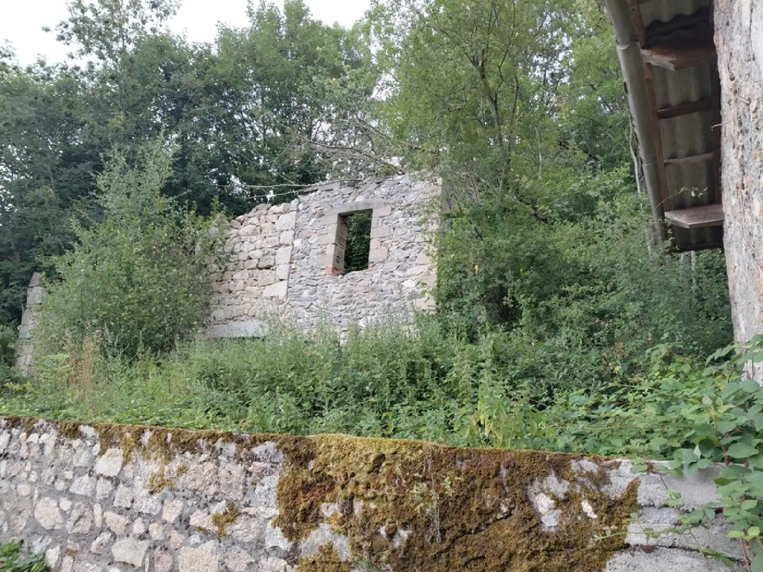  for sale terrain Noirétable Loire 7