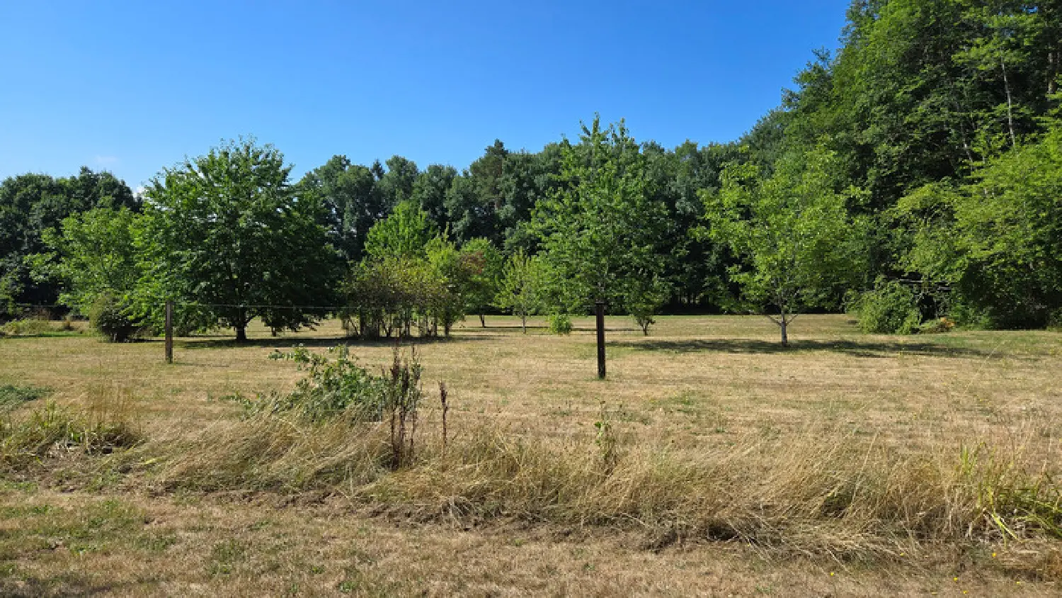  à vendre terrain Oradour-sur-Glane Haute-Vienne 8