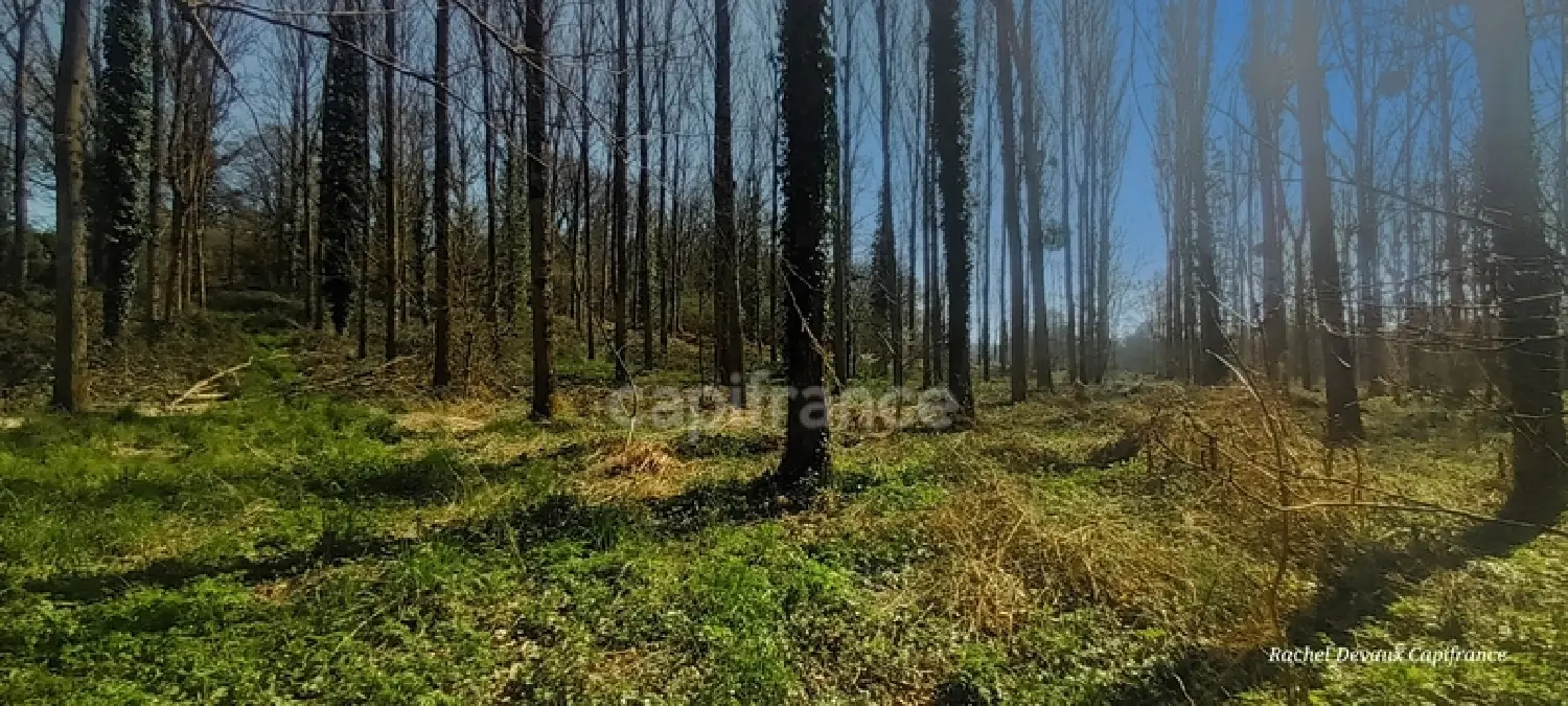  à vendre terrain Pancé Ille-et-Vilaine 5