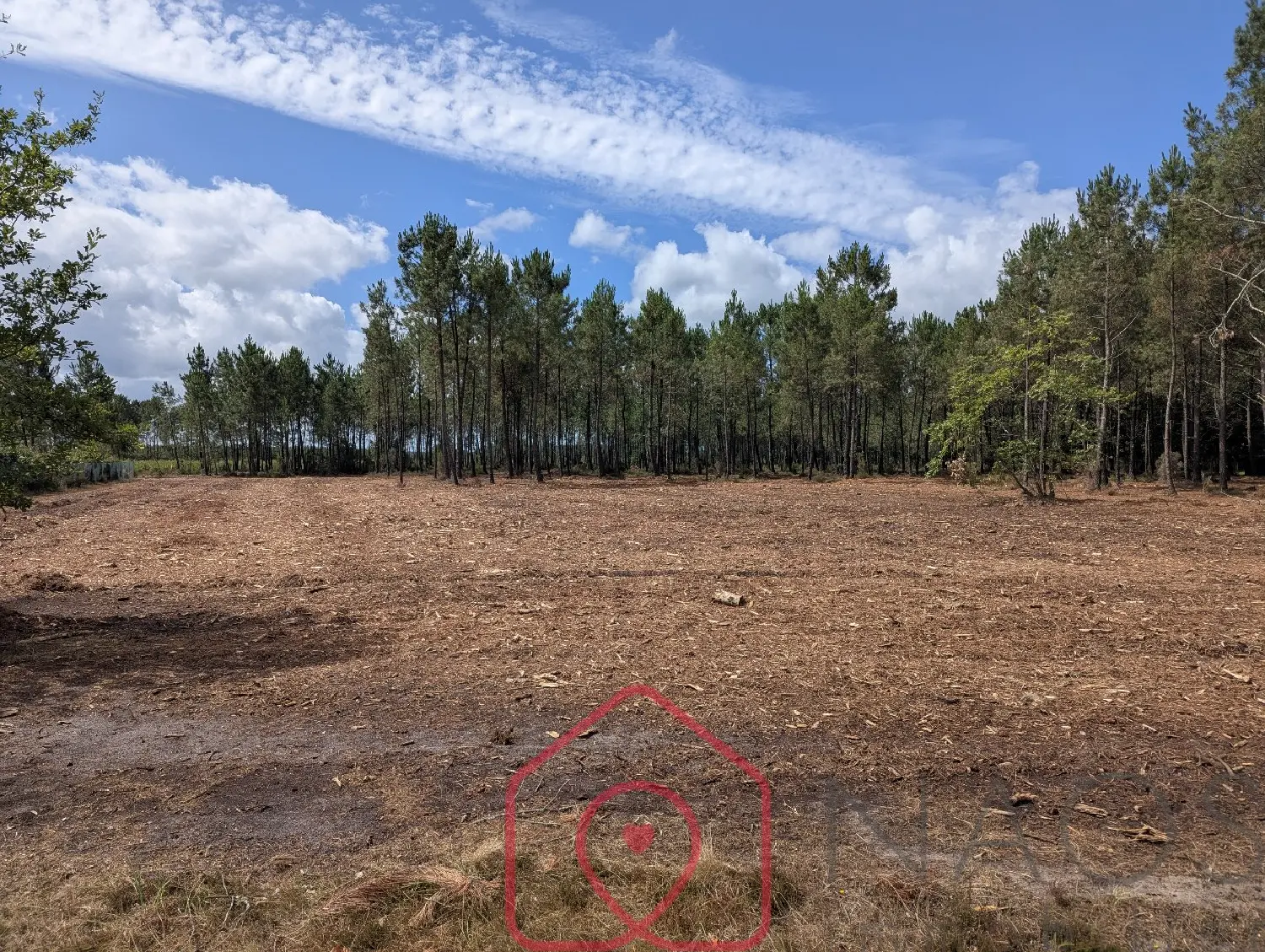  for sale terrain Parentis-en-Born Landes 1