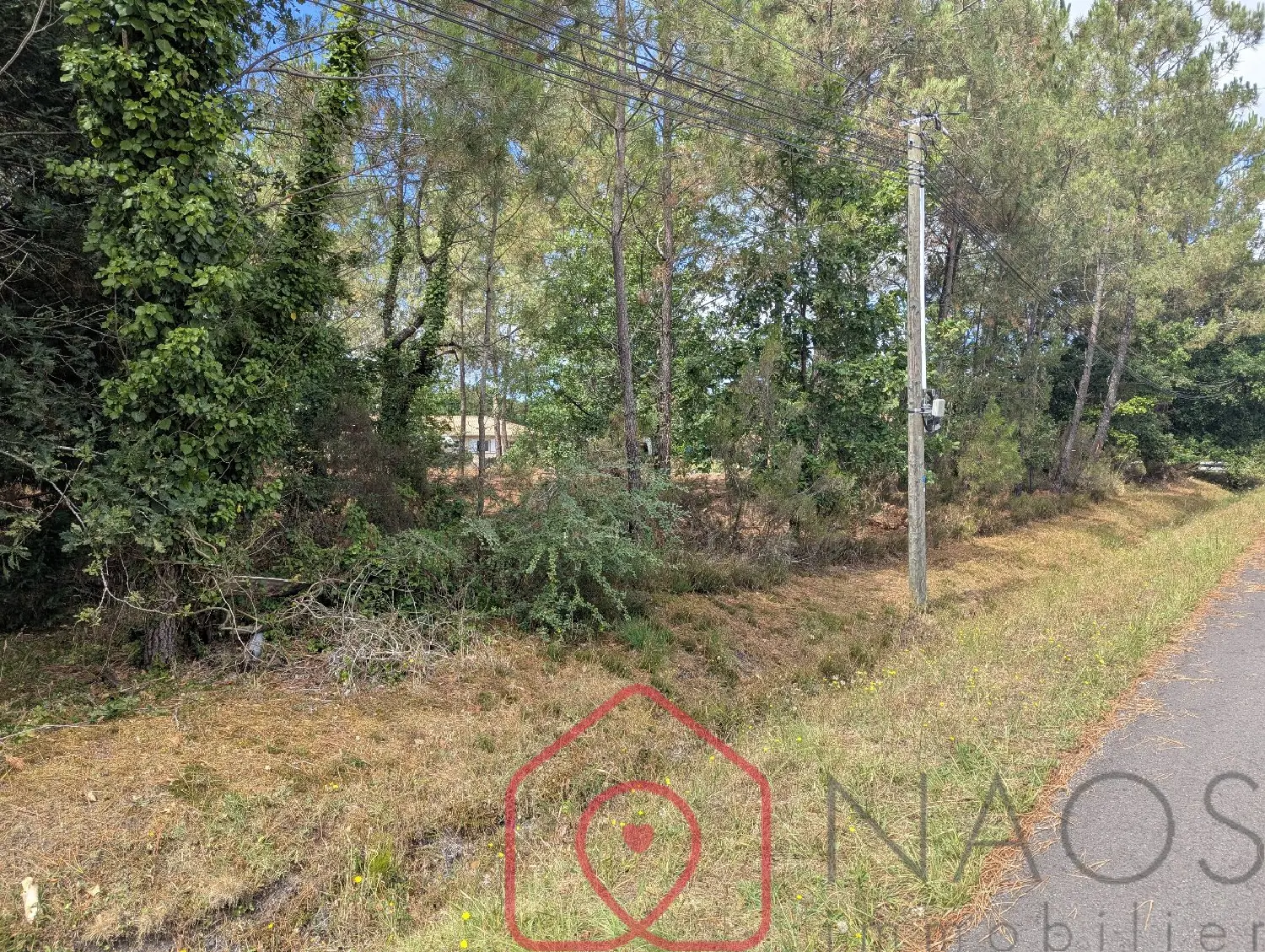  for sale terrain Parentis-en-Born Landes 2