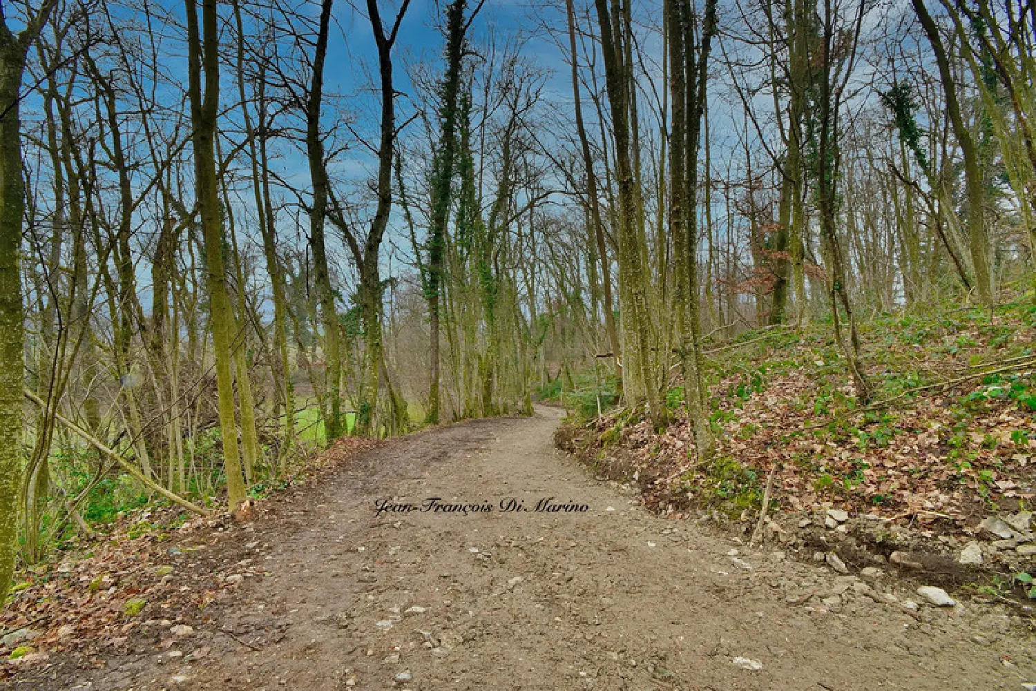  en venta terreno Perrignier Haute-Savoie 4