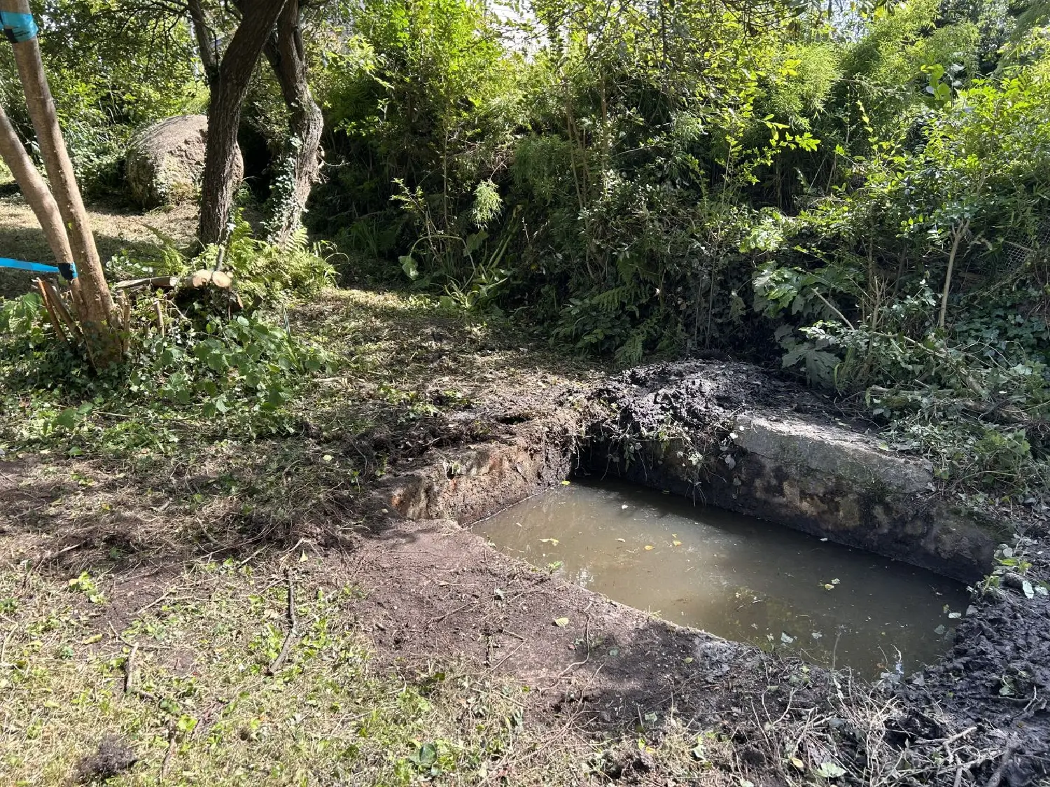  te koop terrein Perros-Guirec Côtes-d'Armor 3