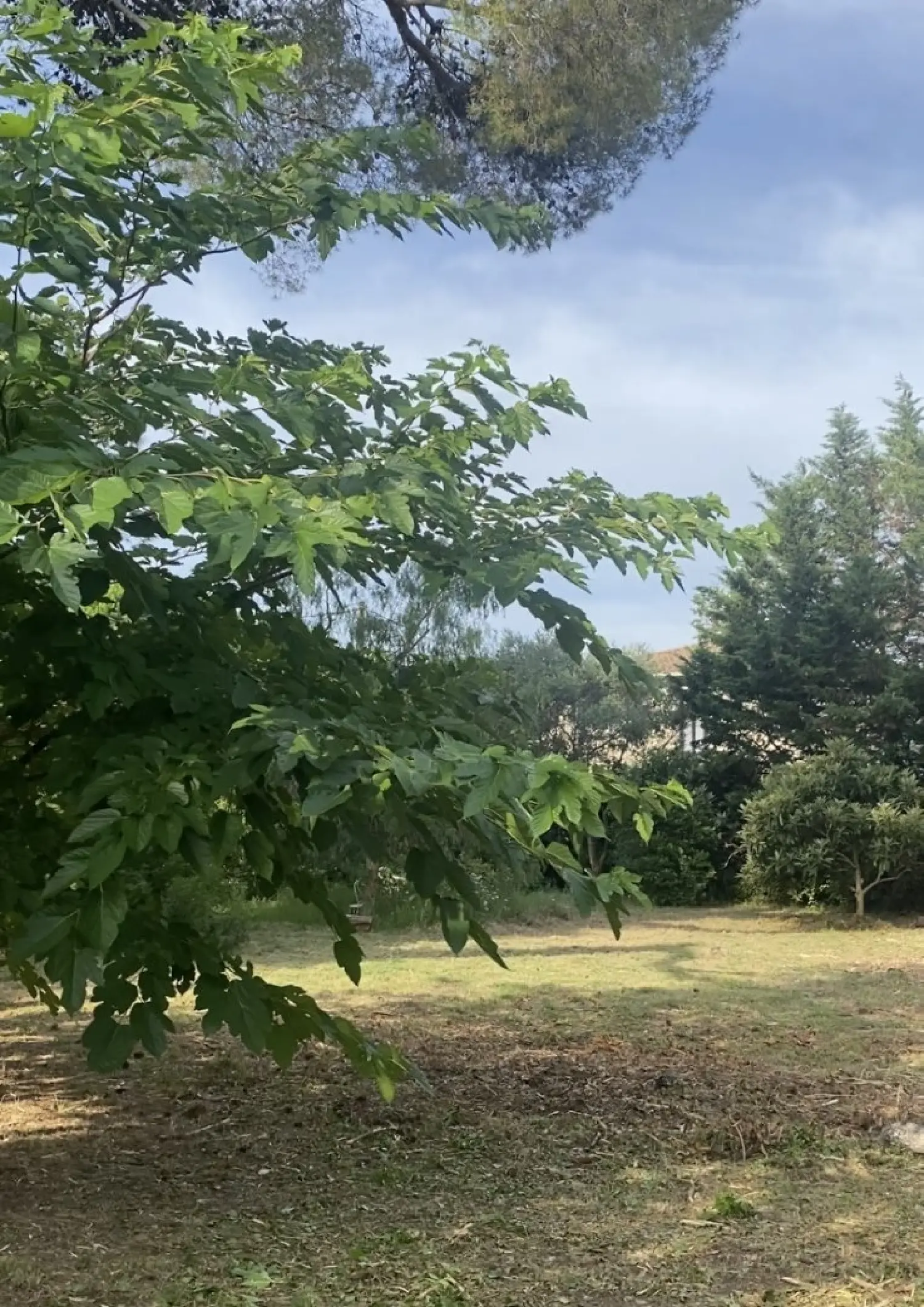  te koop terrein Pézenas Hérault 2