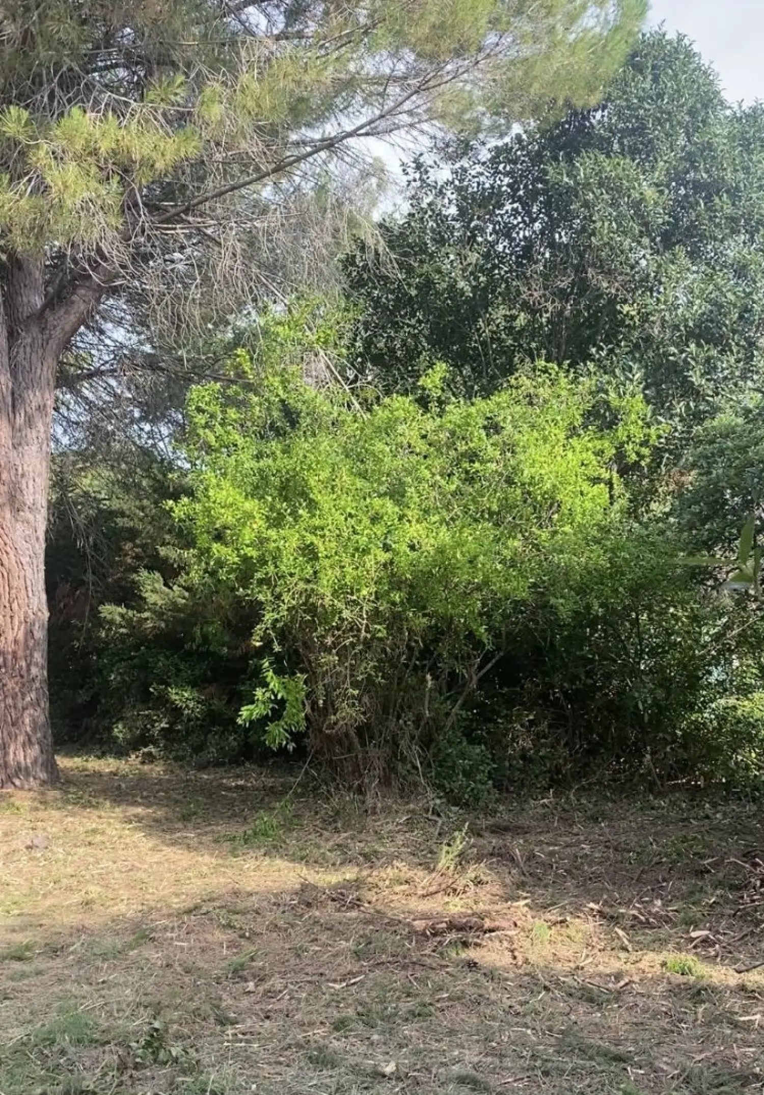  te koop terrein Pézenas Hérault 5
