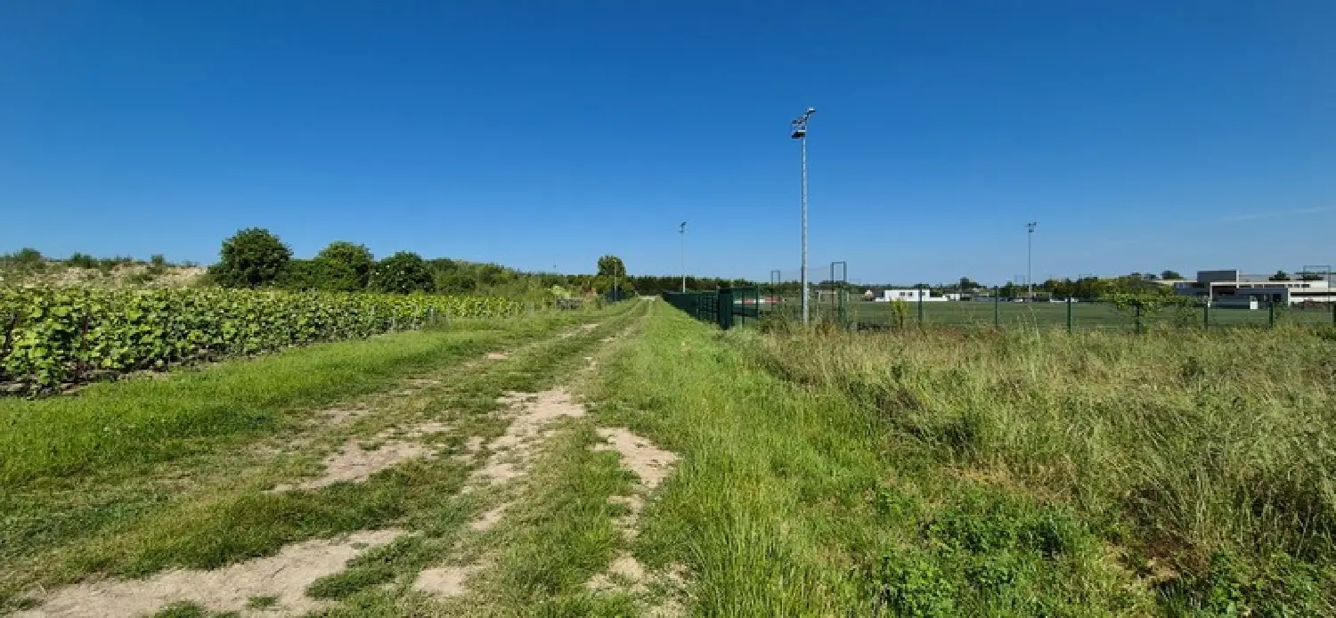  te koop terrein Pierre-Morains Marne 4