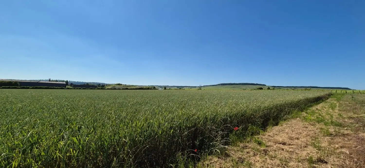  te koop terrein Pierre-Morains Marne 6