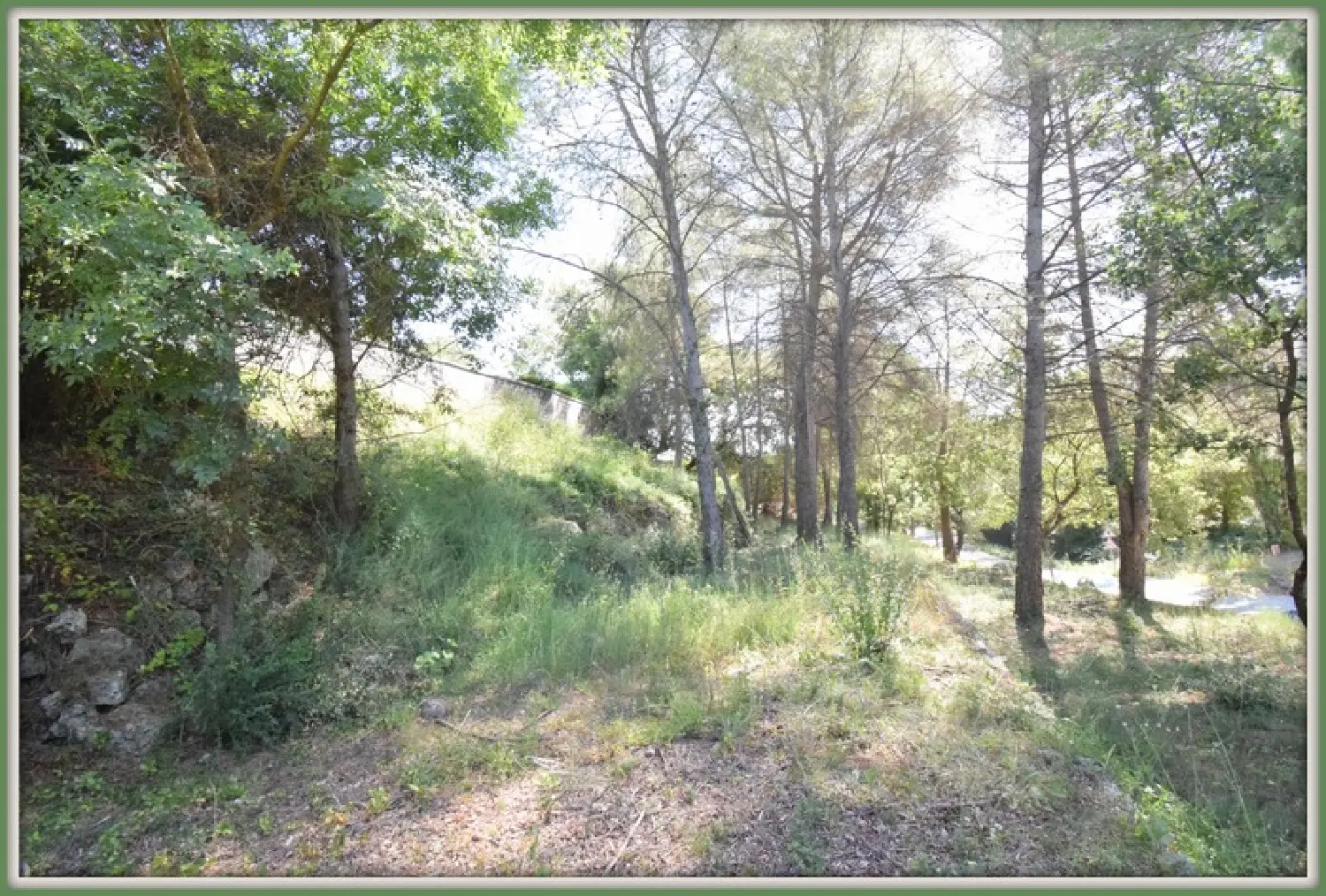  for sale terrain Plascassier Alpes-Maritimes 1