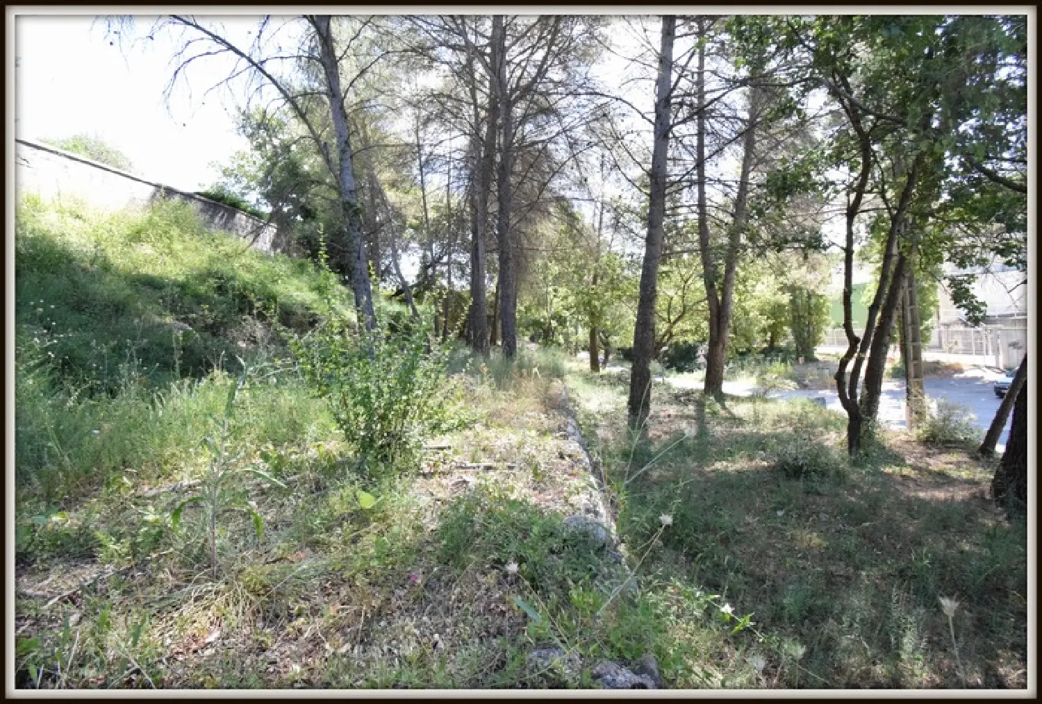  for sale terrain Plascassier Alpes-Maritimes 2