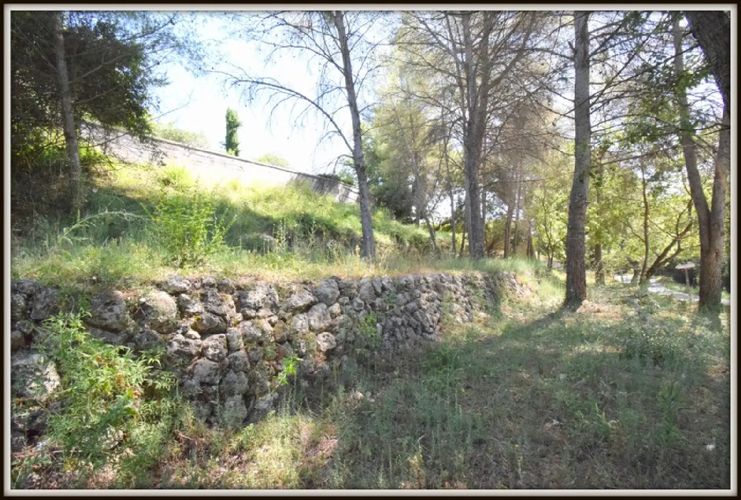  for sale terrain Plascassier Alpes-Maritimes 3