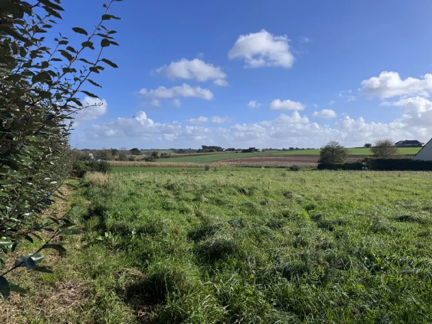  te koop terrein Plouguin Finistère 1