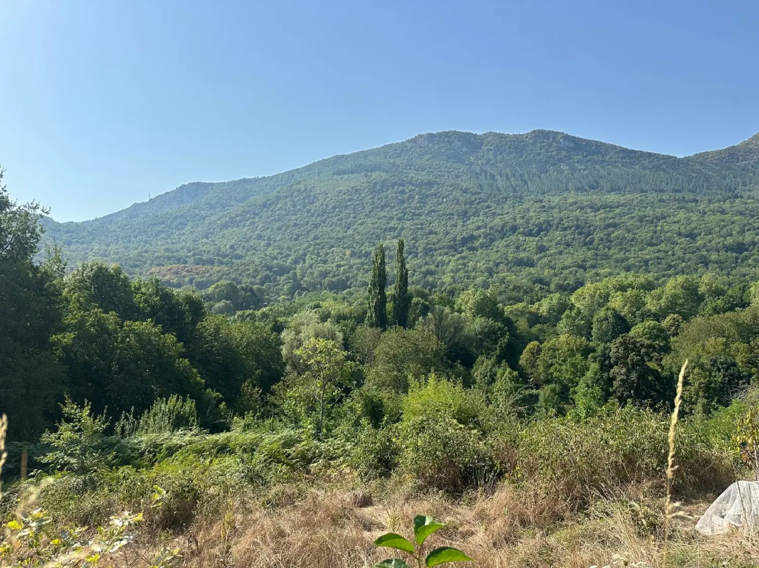  à vendre terrain Rabat-les-Trois-Seigneurs Ariège 3