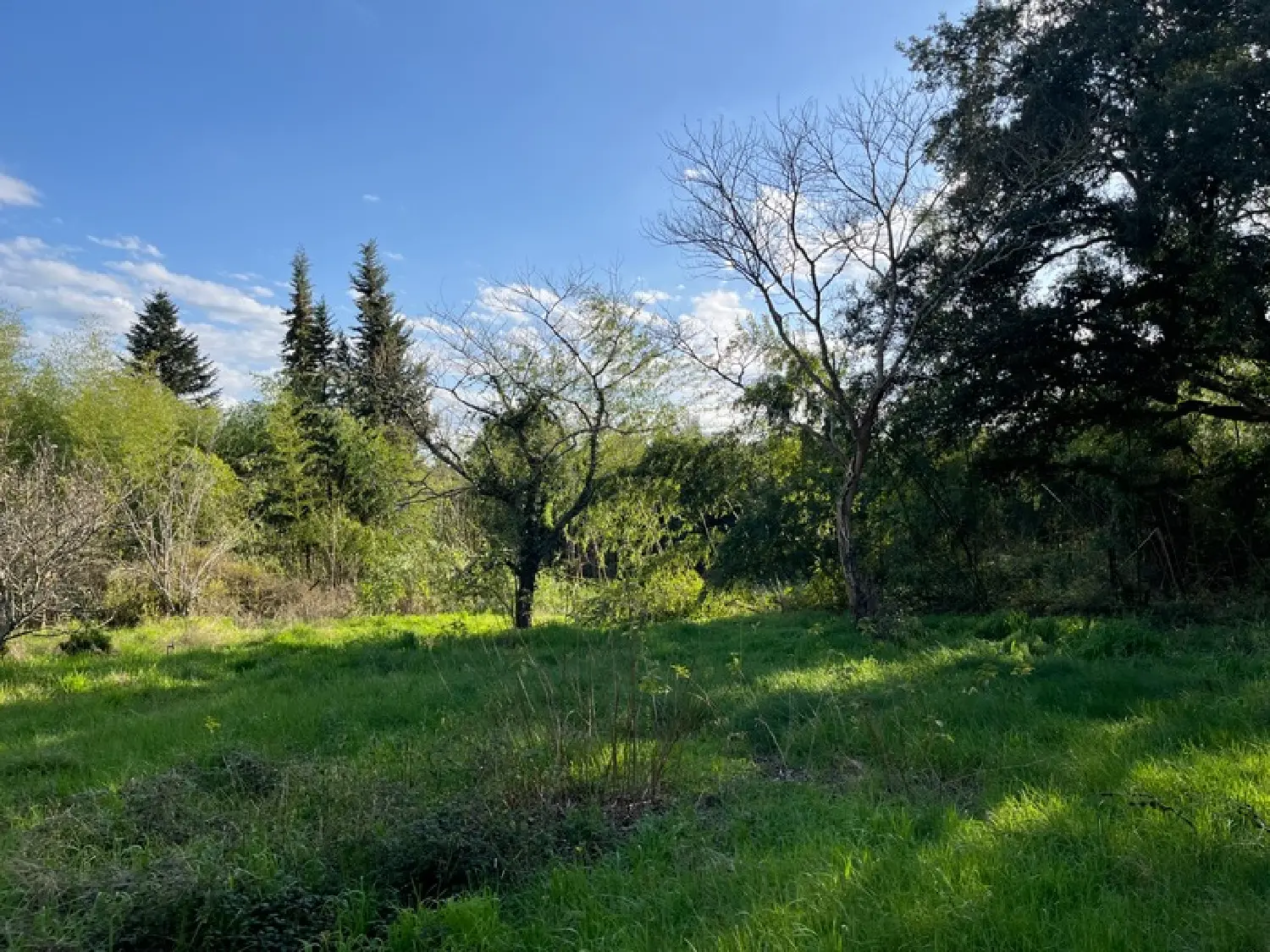  en venta terreno Rion-des-Landes Landes 1