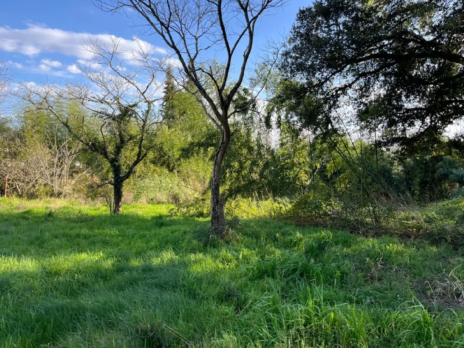  en venta terreno Rion-des-Landes Landes 2