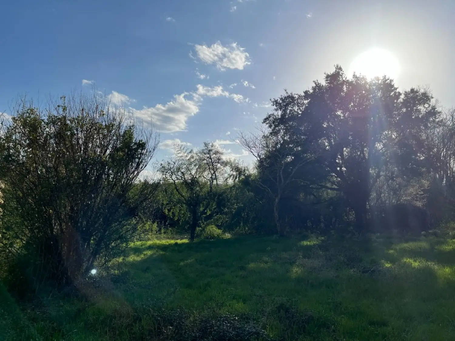  en venta terreno Rion-des-Landes Landes 7