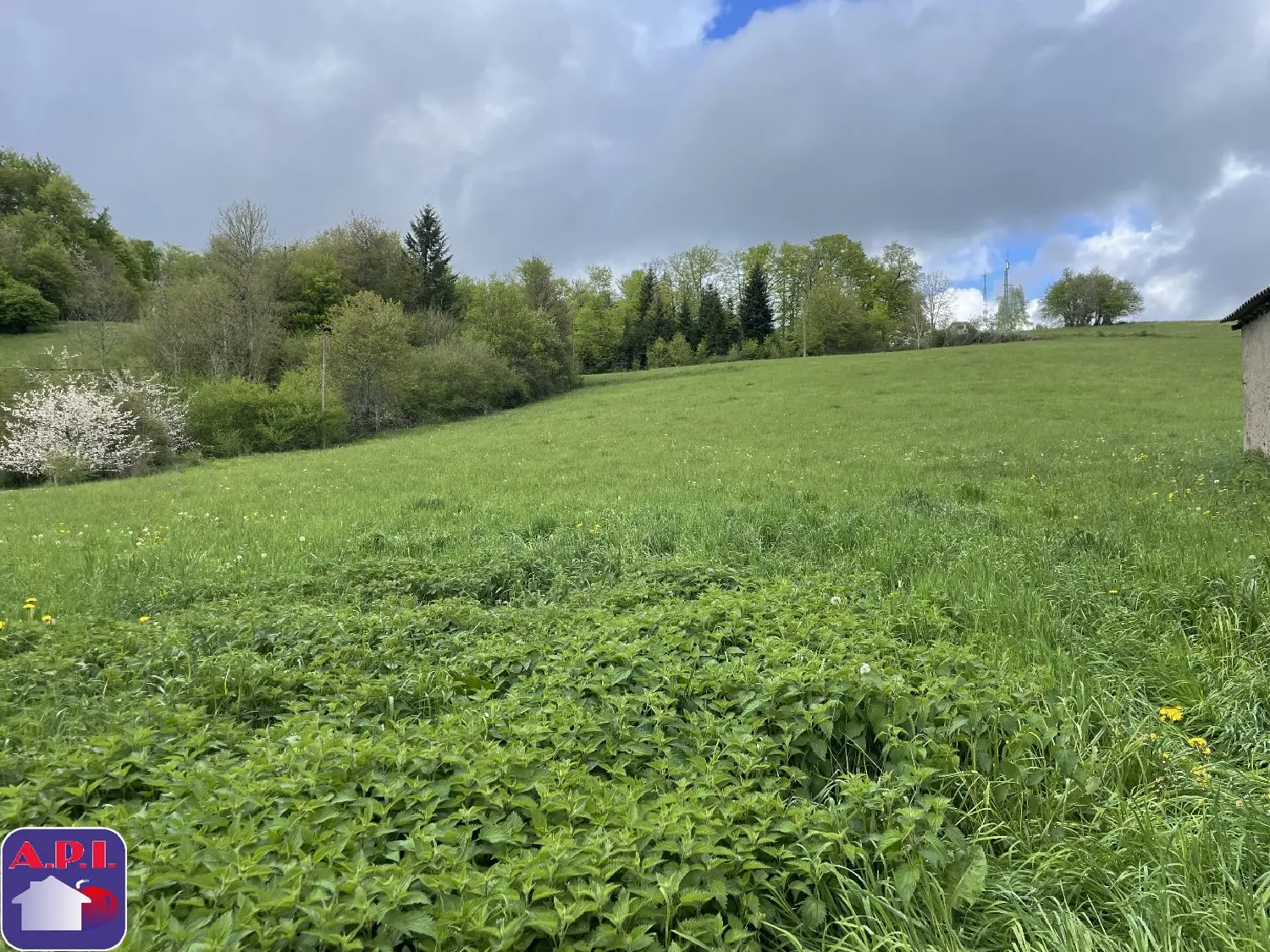  te koop terrein Roquefeuil Aude 2