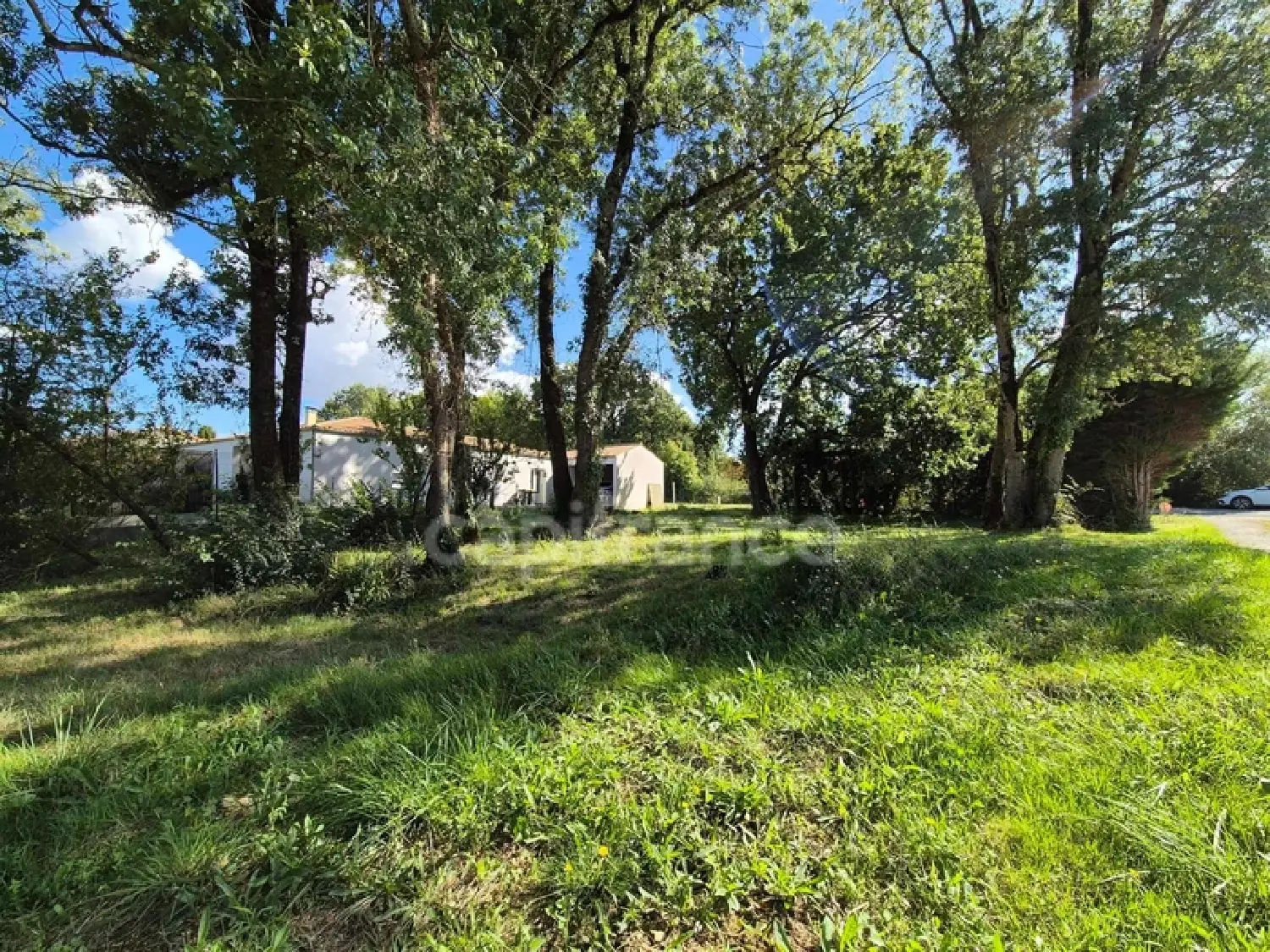  te koop terrein Saint-Sulpice-de-Royan Charente-Maritime 2
