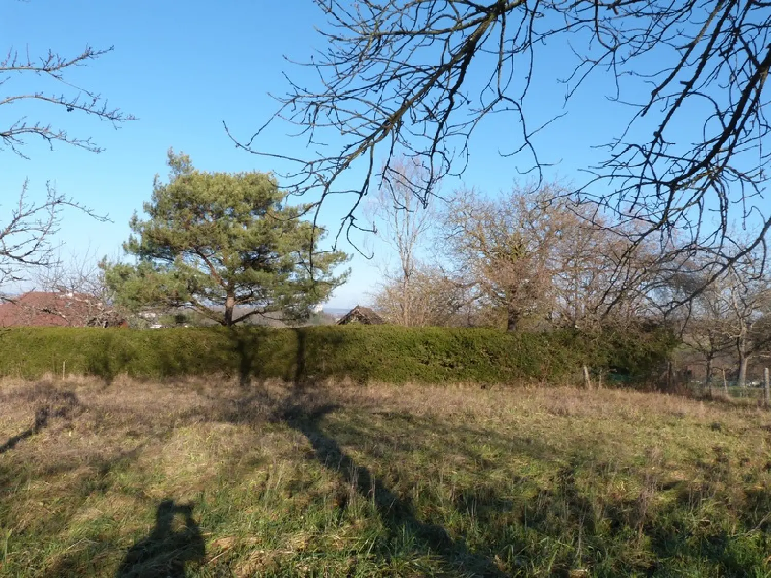  for sale terrain Sarreguemines Moselle 8