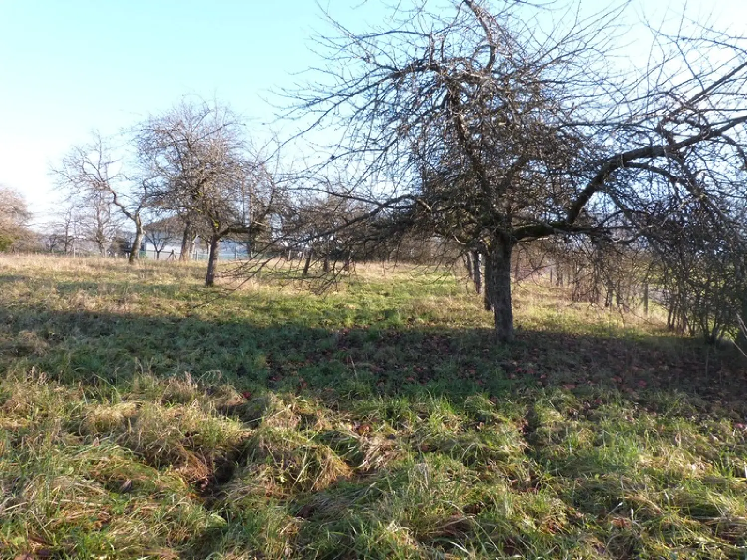  en venta terreno Sarreguemines Moselle 8