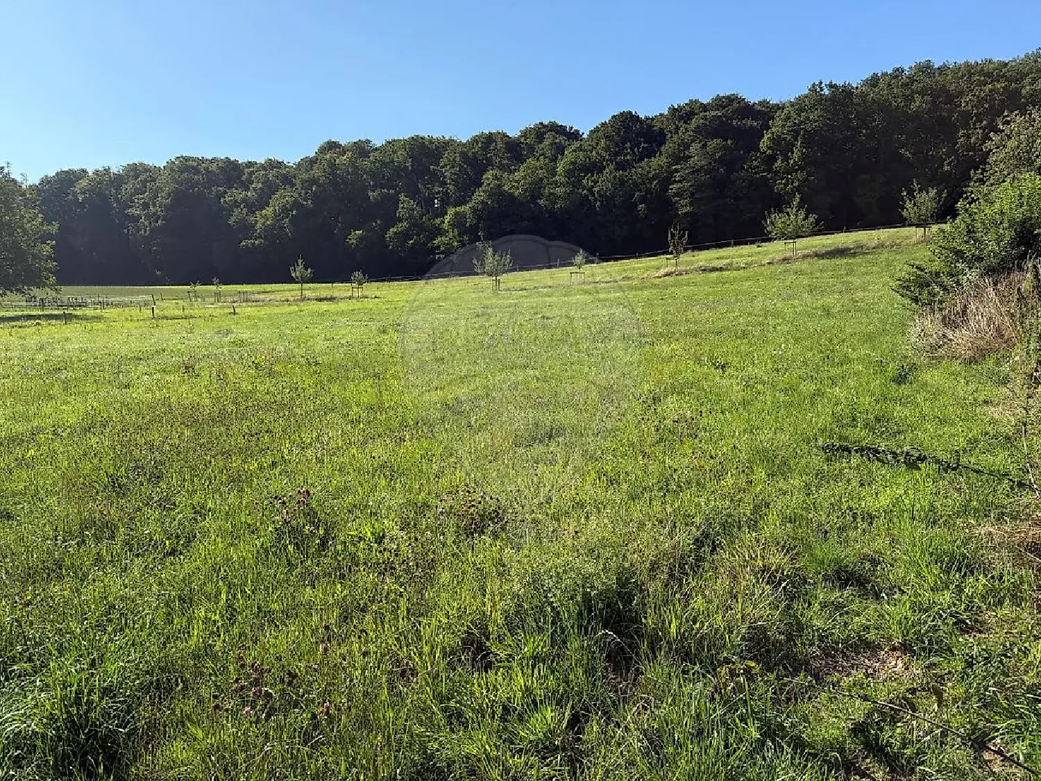  en venta terreno Steinsoultz Haut-Rhin 1