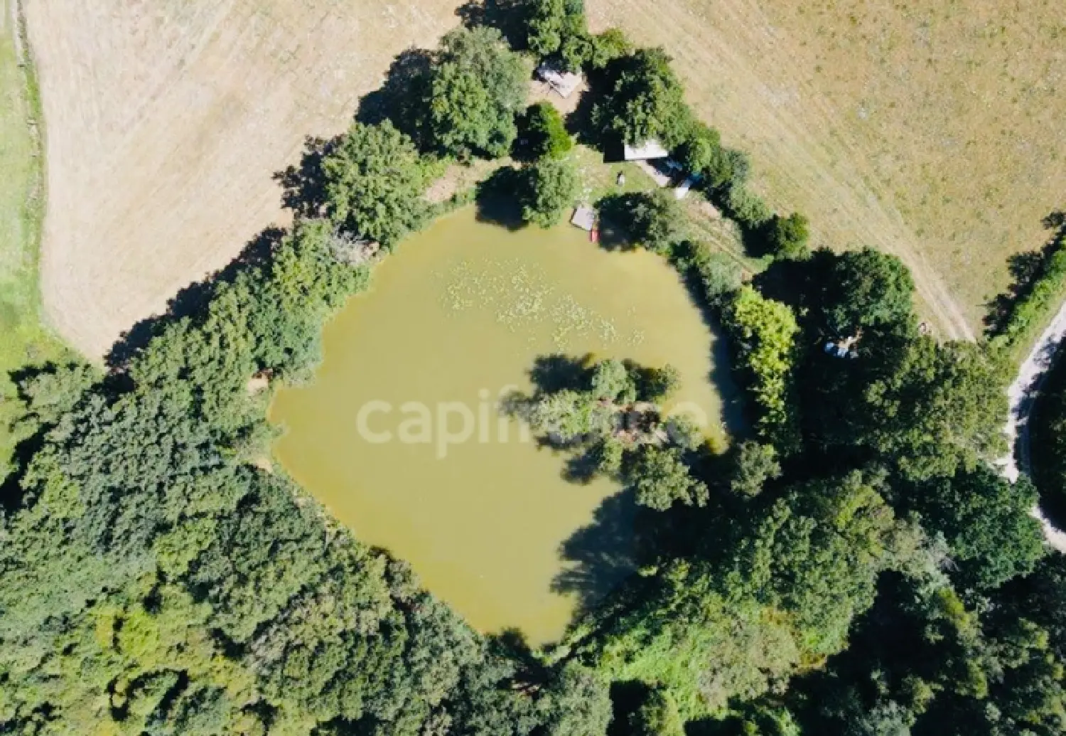  te koop terrein Teillay Ille-et-Vilaine 3