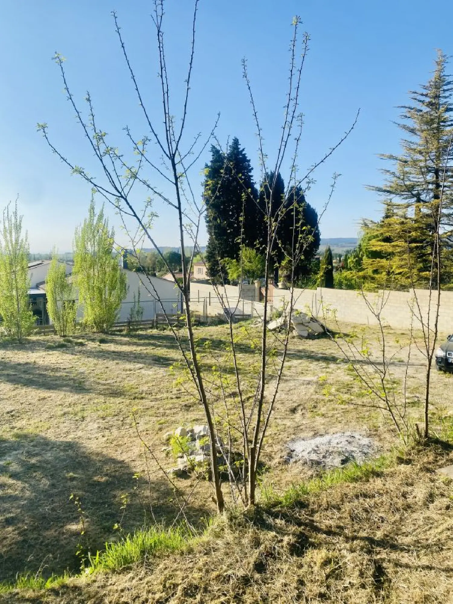  for sale terrain Vacqueyras Vaucluse 1