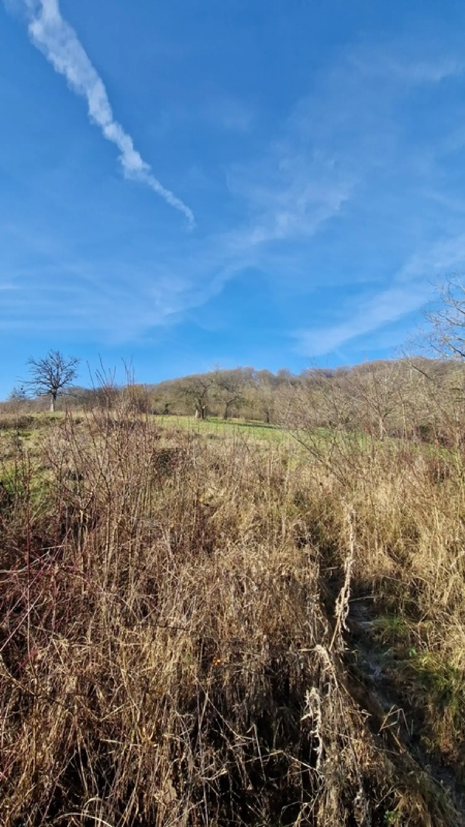  à vendre terrain Veckring Moselle 3