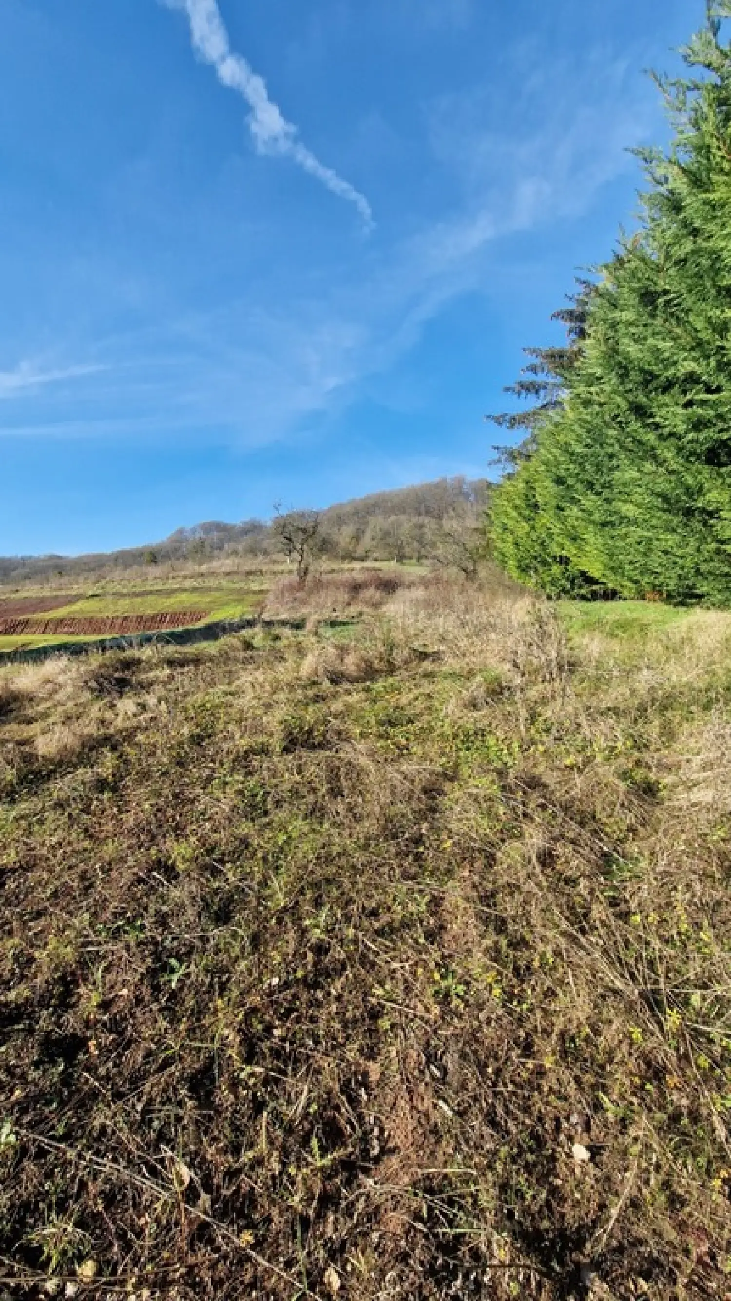  à vendre terrain Veckring Moselle 5