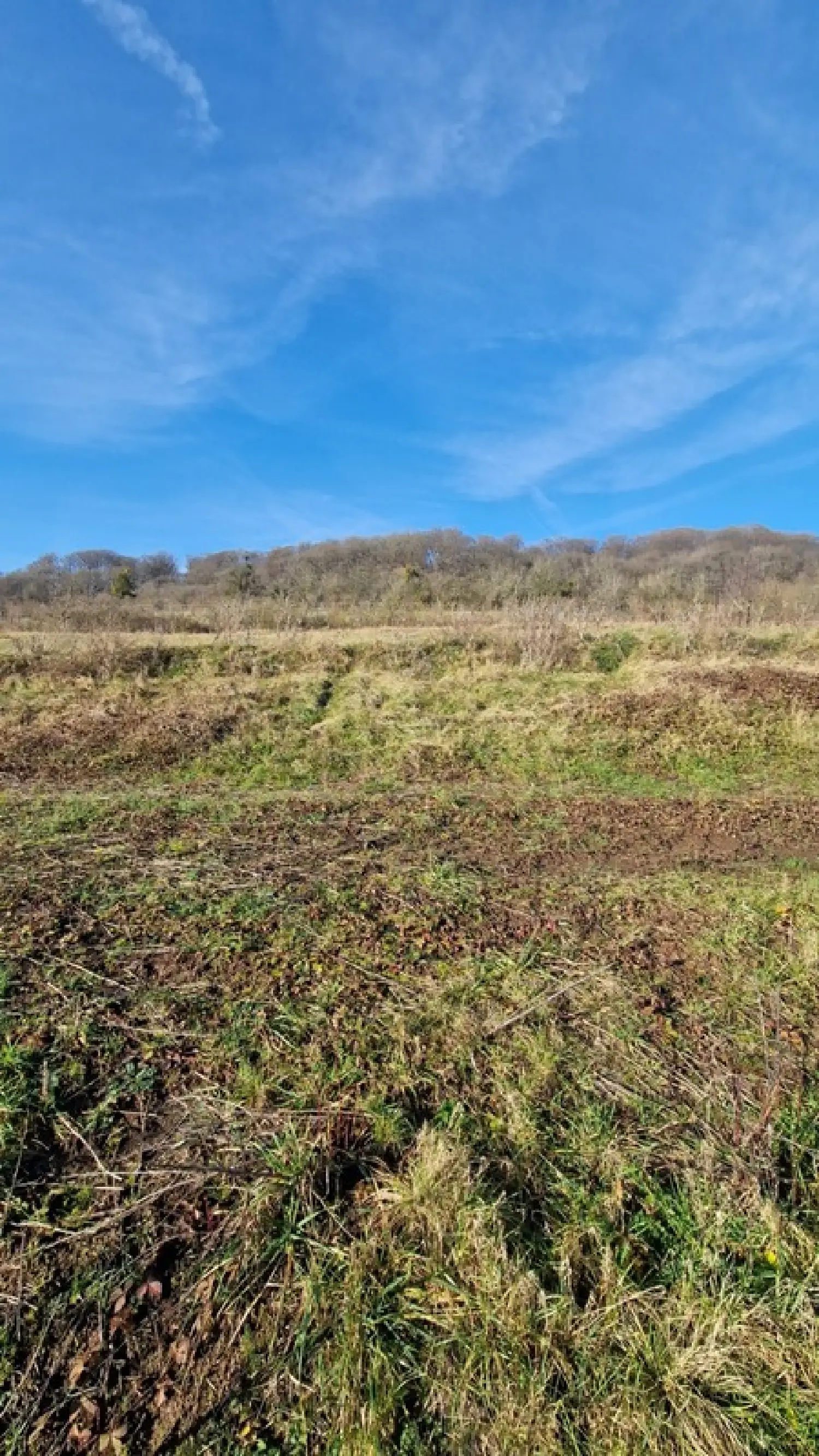  te koop terrein Veckring Moselle 3