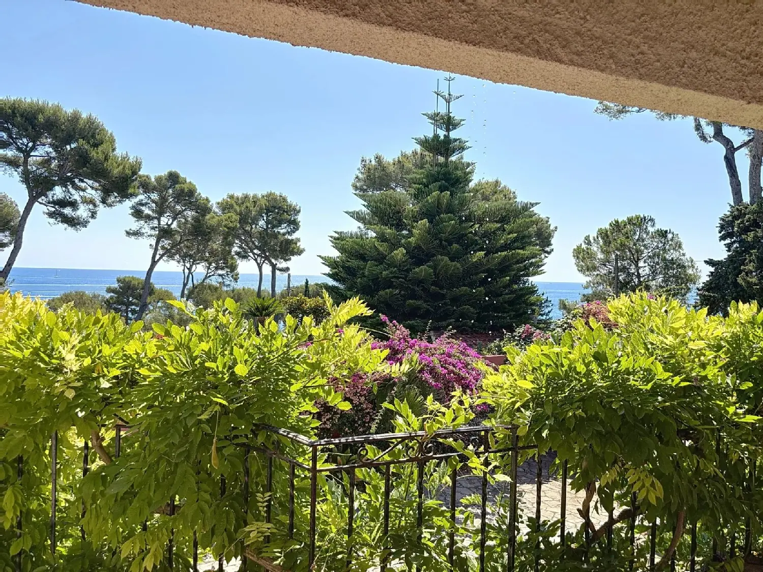  te koop villa Antibes 06160 Alpes-Maritimes 8