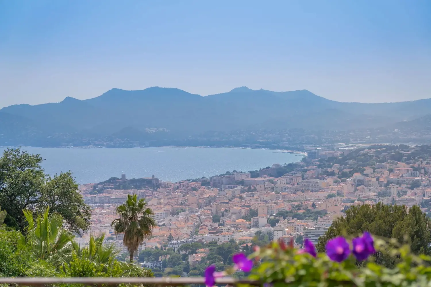  te koop villa Cannes Alpes-Maritimes 5