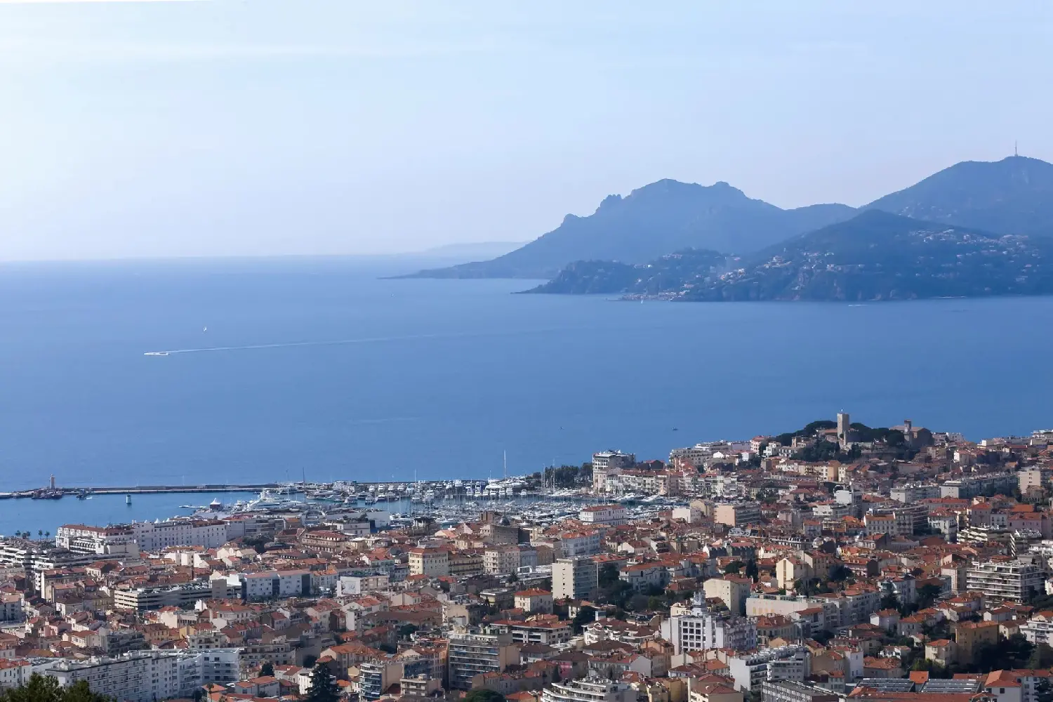  for sale villa Cannes Alpes-Maritimes 2