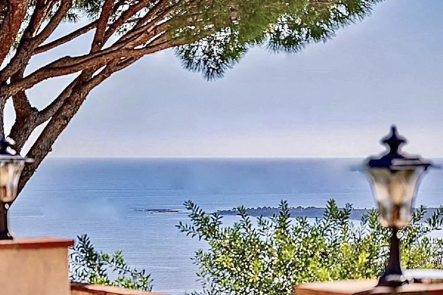  à vendre villa Cannes Alpes-Maritimes 3