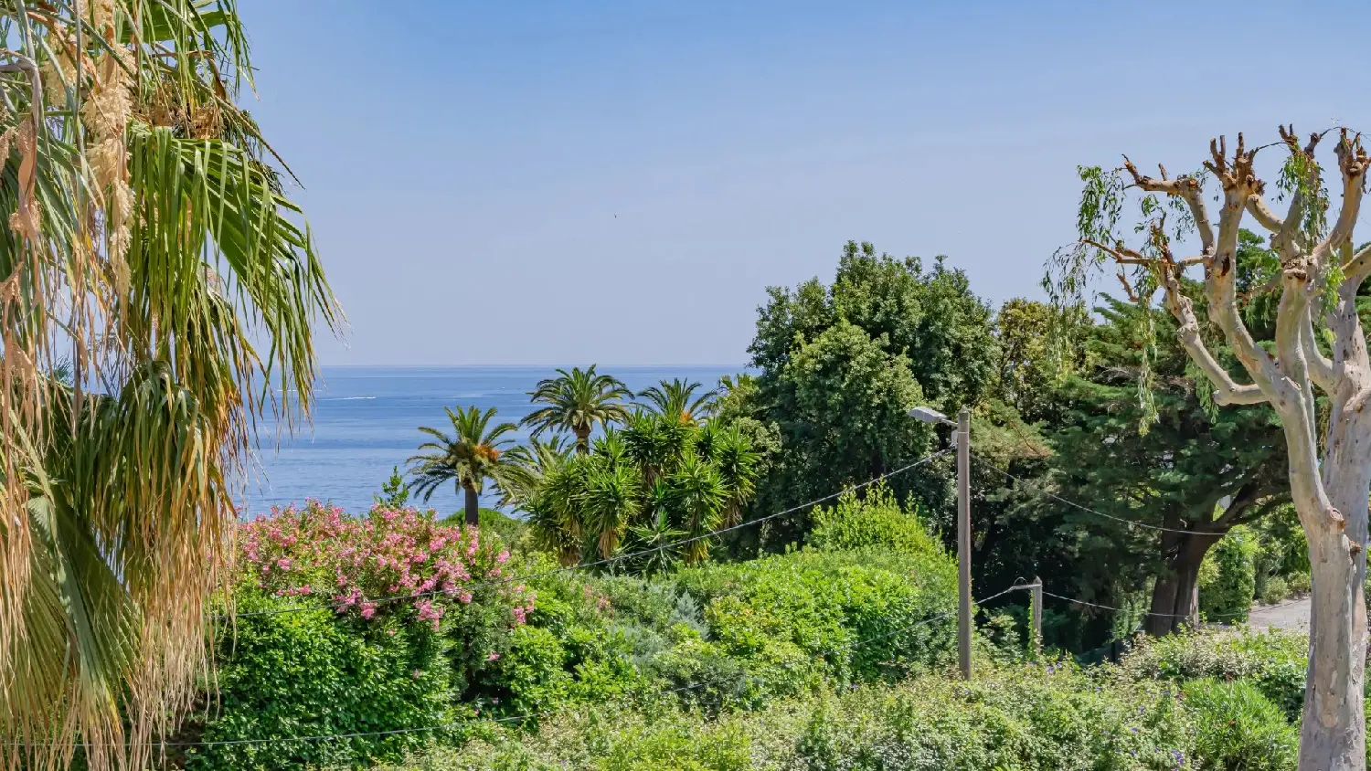  te koop villa Cannes Alpes-Maritimes 2