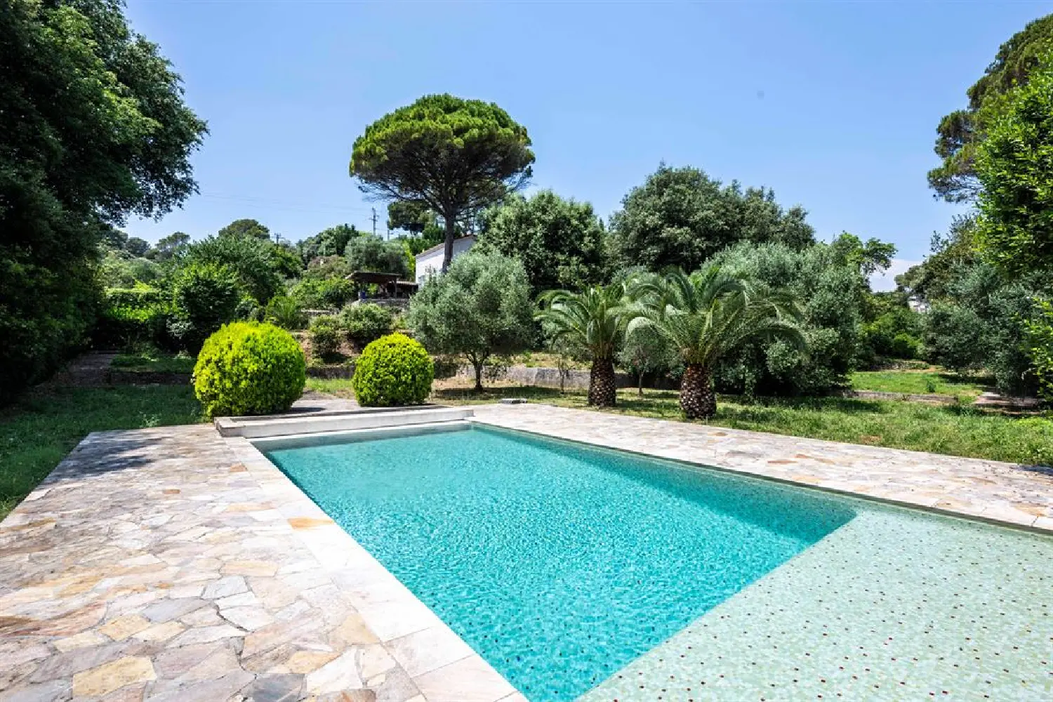  te koop villa Cannes Alpes-Maritimes 6
