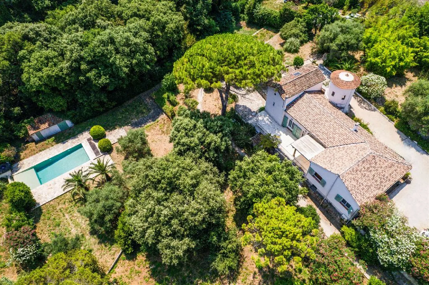 te koop villa Cannes Alpes-Maritimes 8